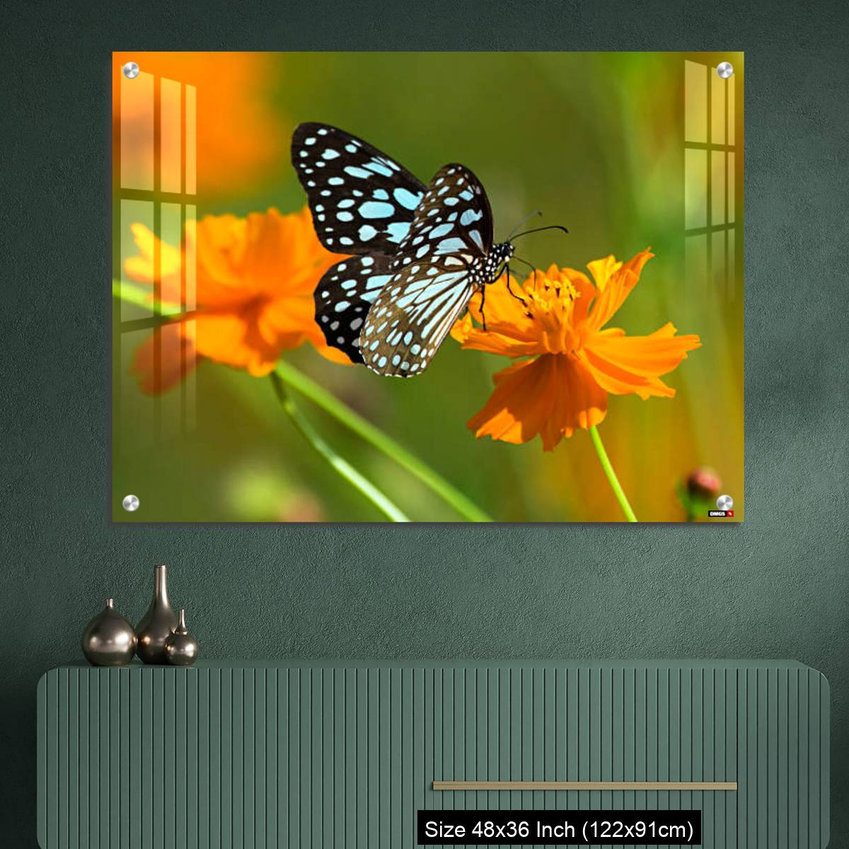 OMGs Acrylic Wall Decor – Blue tiger butterfly or Tirumala limniace on an orange flower - Image 2