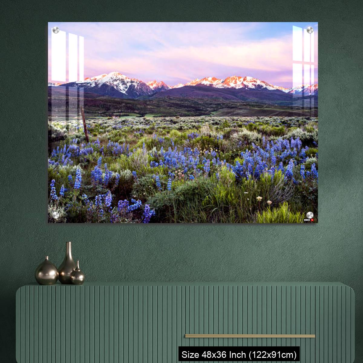 OMGs Acrylic Wall Decor – Colorado wildflowers and the gore range - Image 2