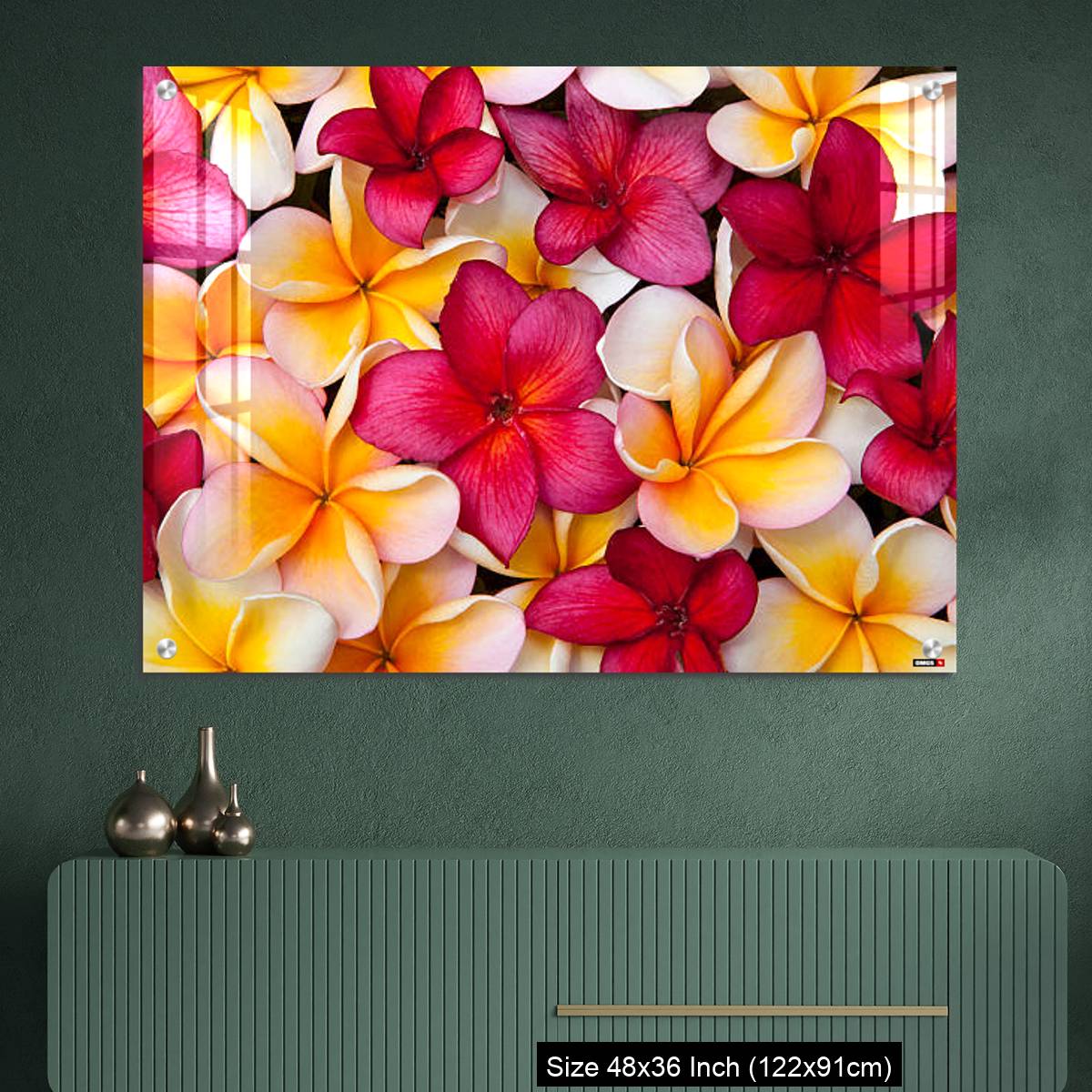 OMGs Acrylic Wall Decor – Colorful Pulmeria (or Frangipani) flowers - Image 2