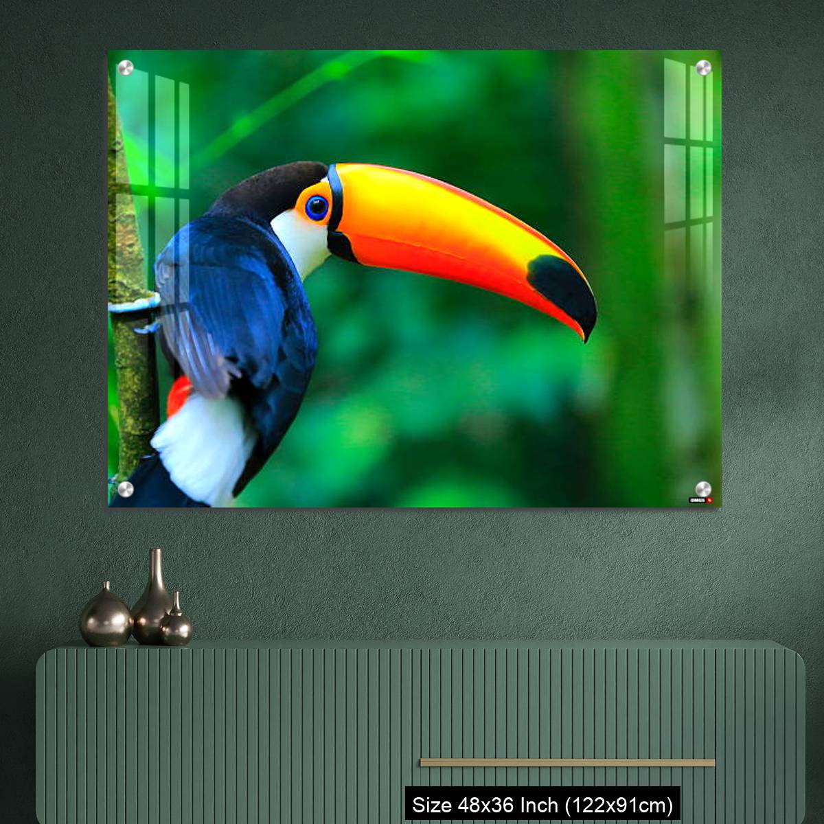 OMGs Acrylic Wall Decor – Colorful cute Toucan tropical bird - Image 2