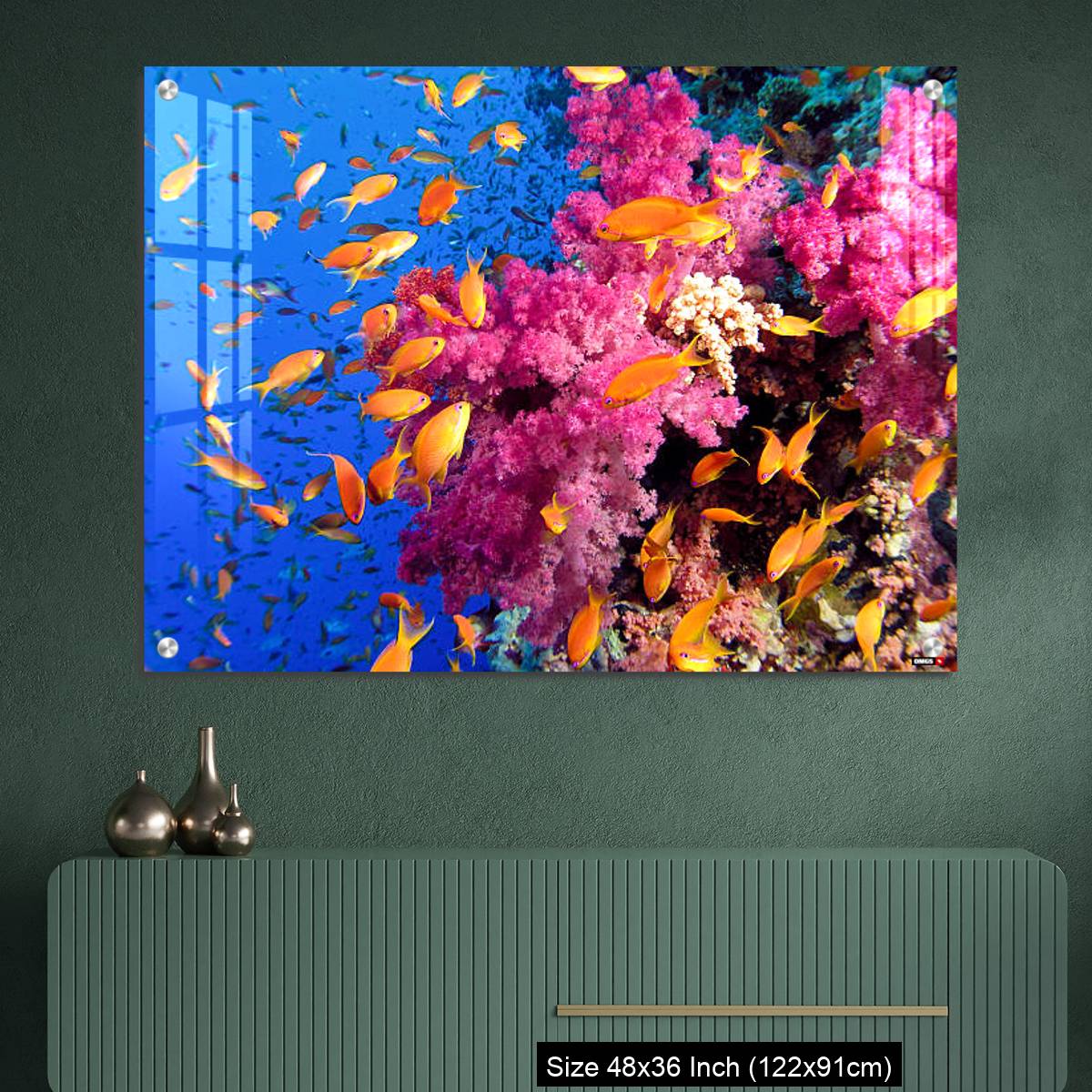OMGs Acrylic Wall Decor – Colorful underwater picture of a coral reef, with goldfish - Image 2