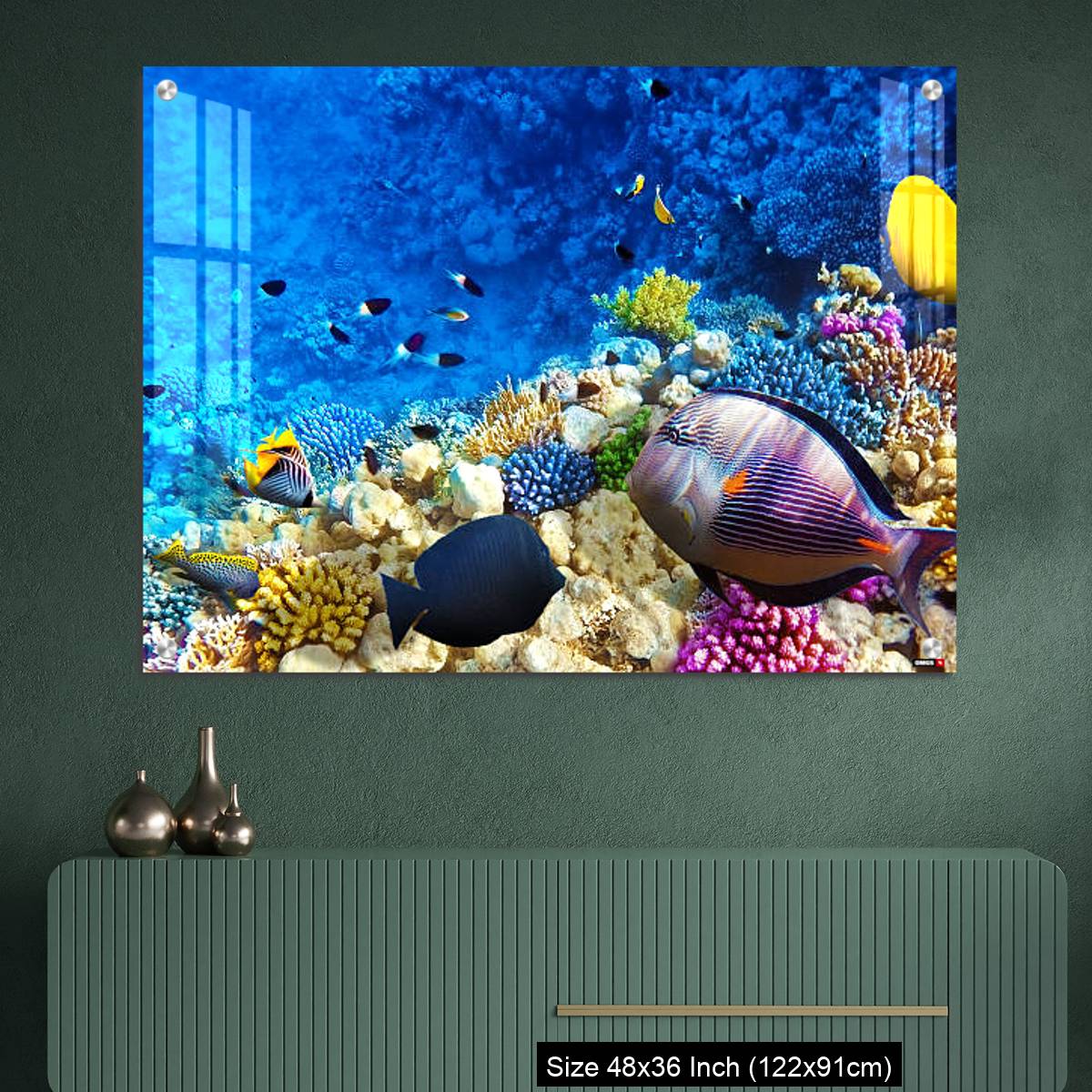OMGs Acrylic Wall Decor – Coral and fish in the Red Sea. Egypt, Africa. - Image 2