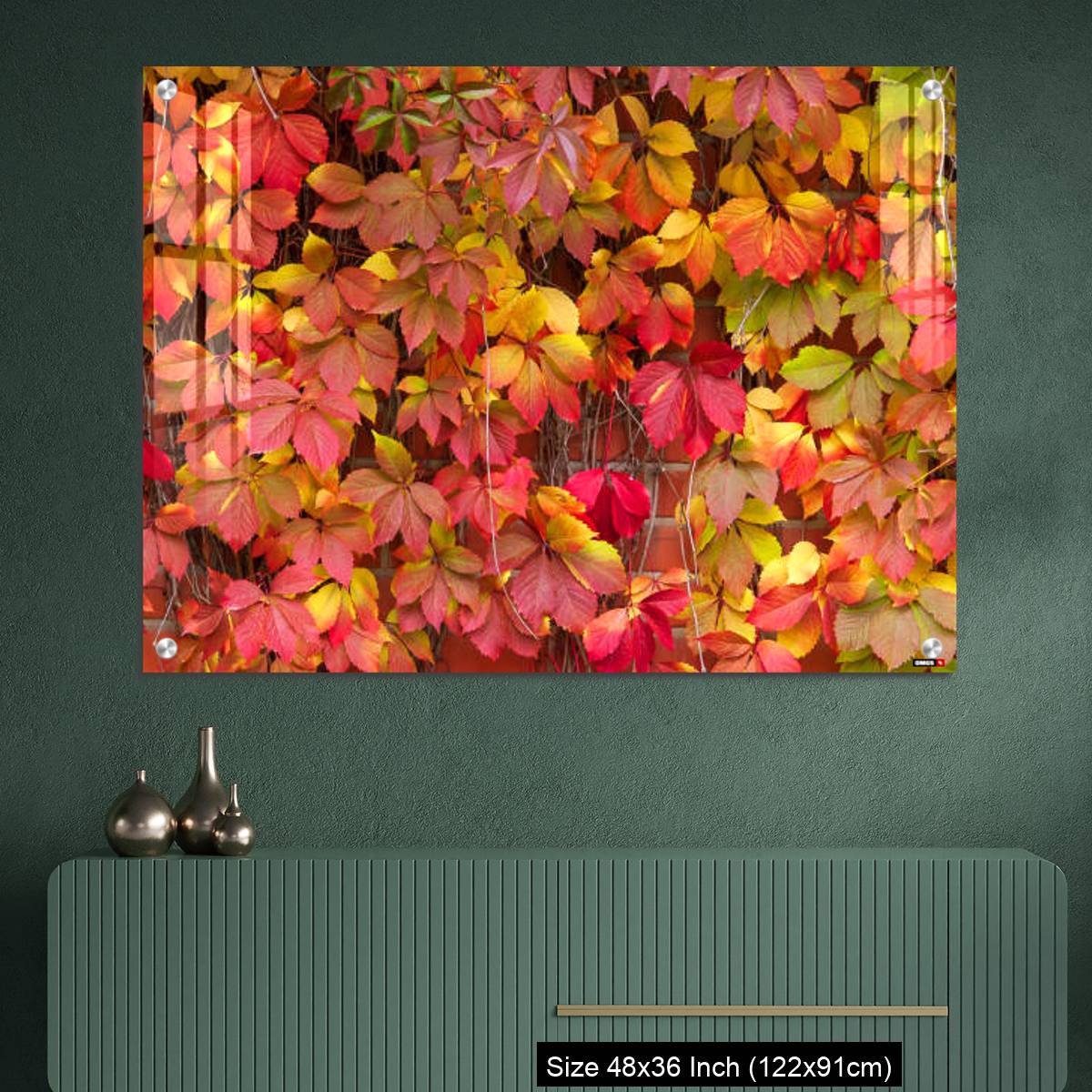OMGs Acrylic Wall Decor – False Virginia creeper Parthenocissus inserta foliage in autumn colors - Image 2