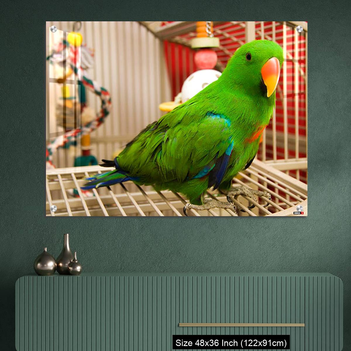 OMGs Acrylic Wall Decor – Green parrot perched on the open door of its cage - Image 2