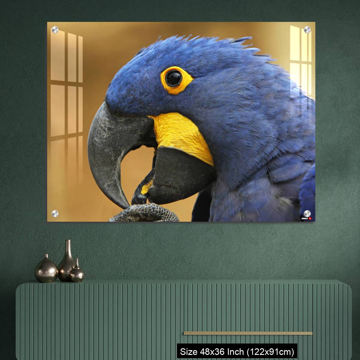 OMGs Acrylic Wall Decor – Hyacinth Macaw, anodorhynchus hyacinthinus, portrait of Adult with open Beak - Image 2