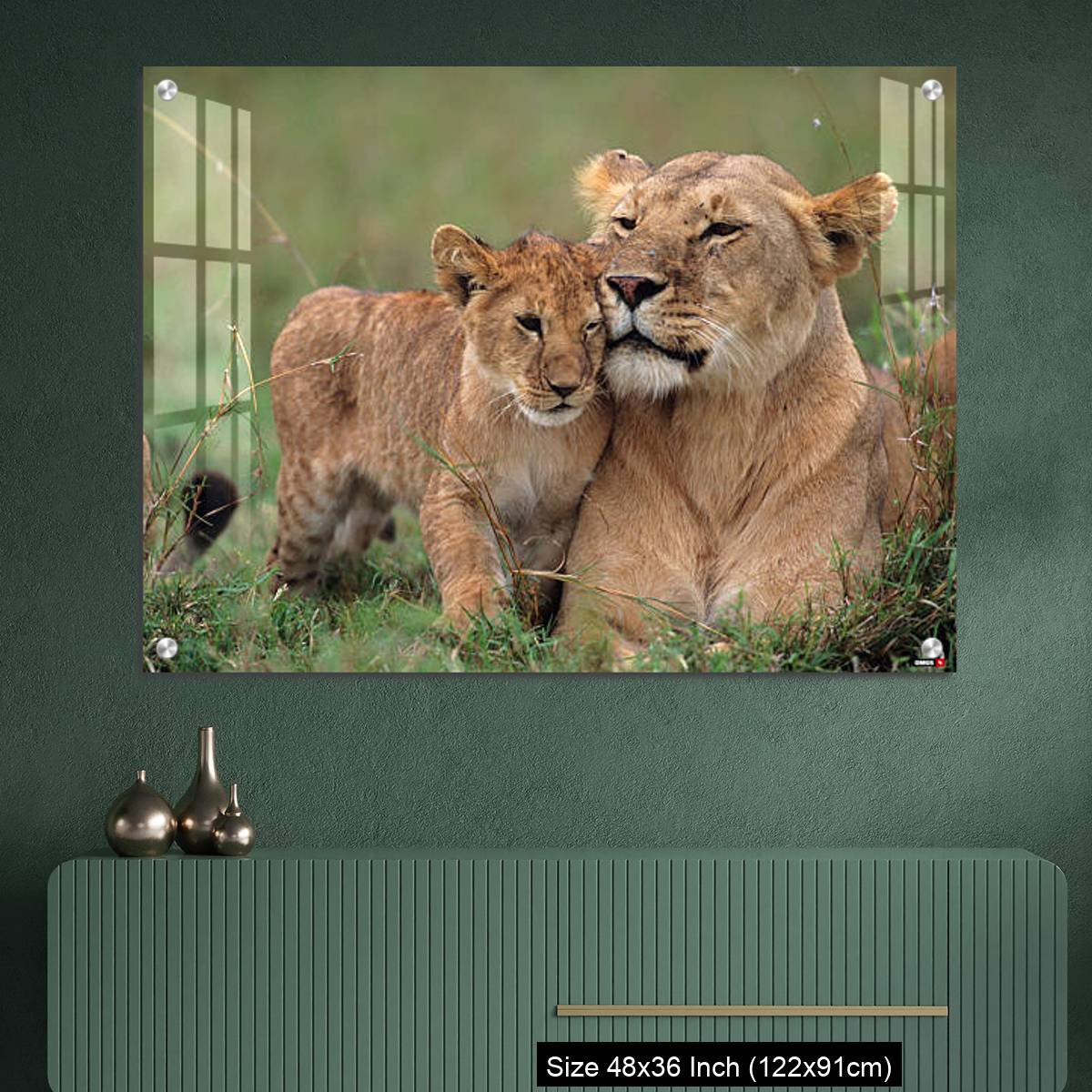OMGs Acrylic Wall Decor – Lioness (Panthera leo) with cubs lying on grass, Kenya - Image 2