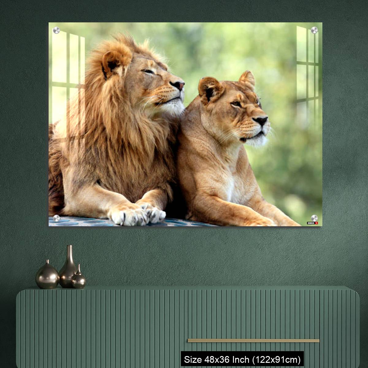 OMGs Acrylic Wall Decor – Pair of adult Lions in zoological garden - Image 2