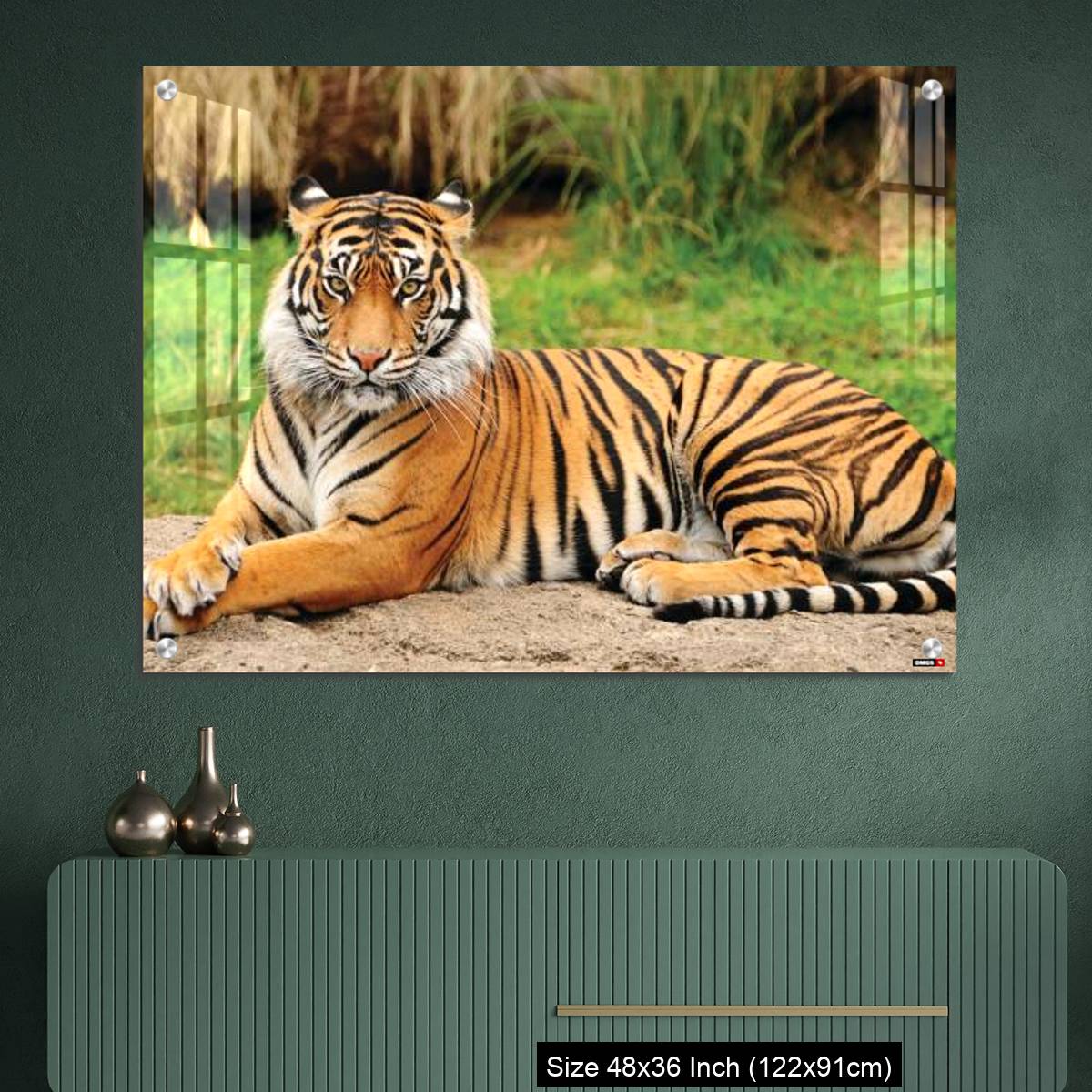 OMGs Acrylic Wall Decor – Royal Bengal Tiger alert and Staring at the Camera - Image 2