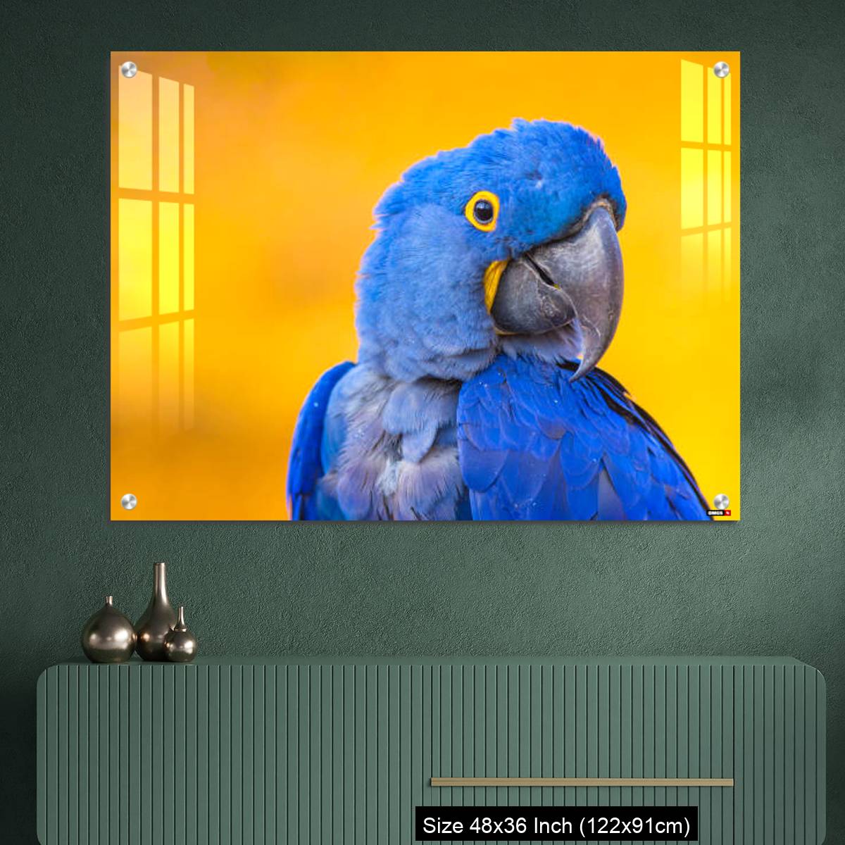 OMGs Acrylic Wall Decor – Portrait of big blue parrot Hyacinth Macaw - Image 2
