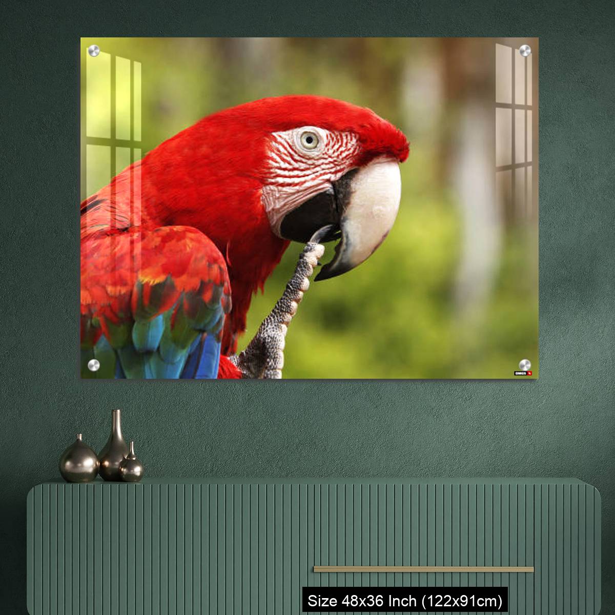 OMGs Acrylic Wall Decor – Red-and-Green Macaw, ara chloroptera, Portrait of Adult - Image 2