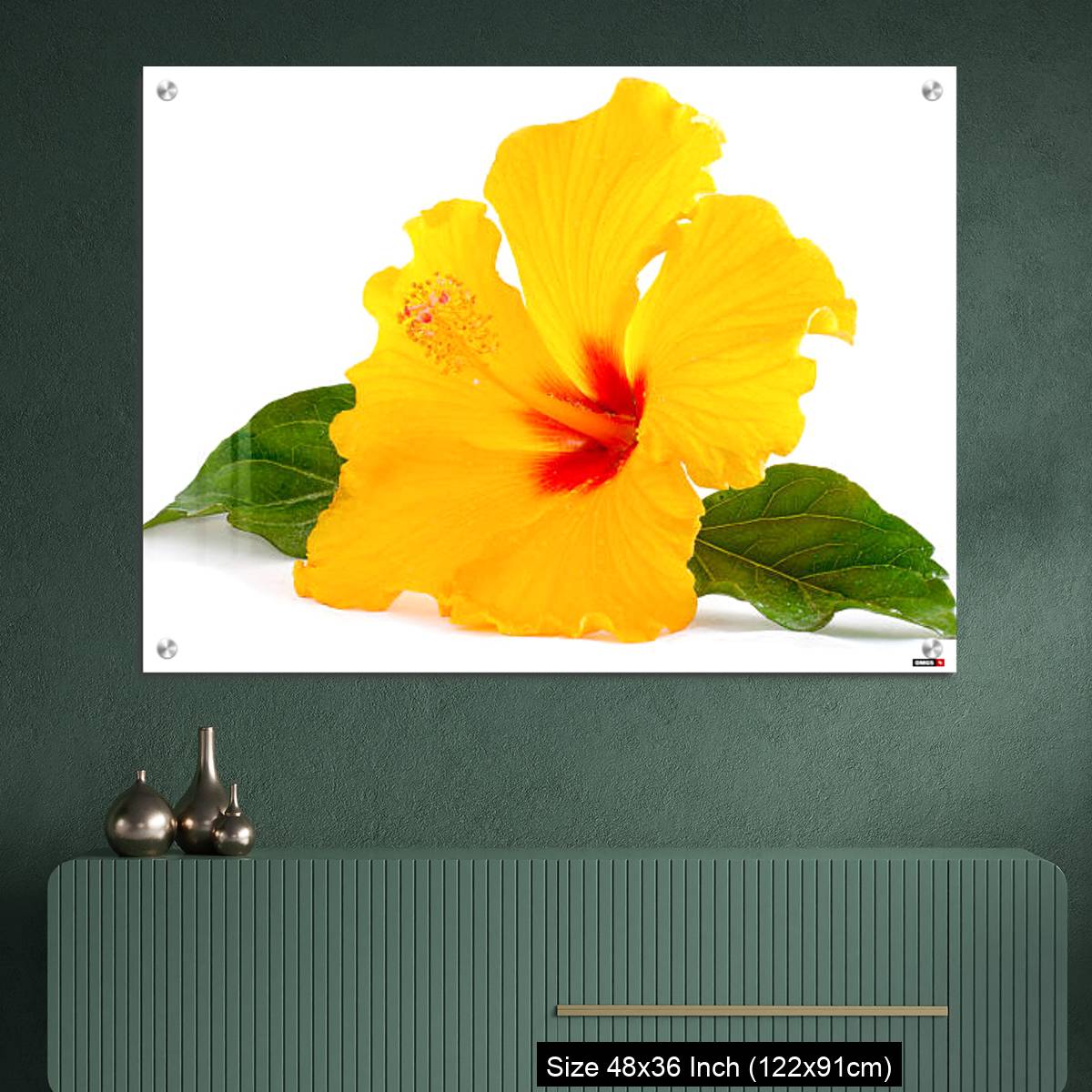OMGs Acrylic Wall Decor – Tropical Yellow Hibiscus Flower isolated on white - Image 2