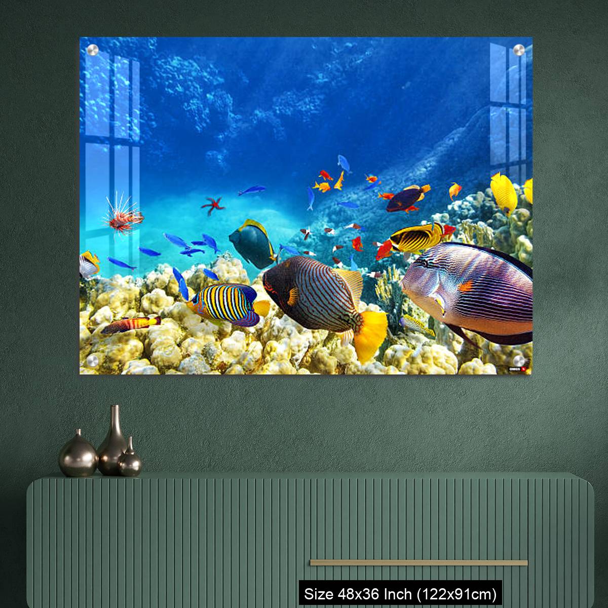OMGs Acrylic Wall Decor – Underwater world with corals and tropical fish. - Image 2
