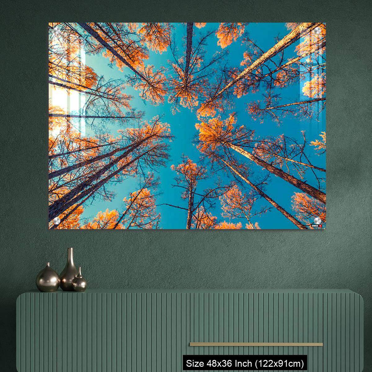 OMGs Acrylic Wall Decor – looking up at trees and clear blue sky - Image 2