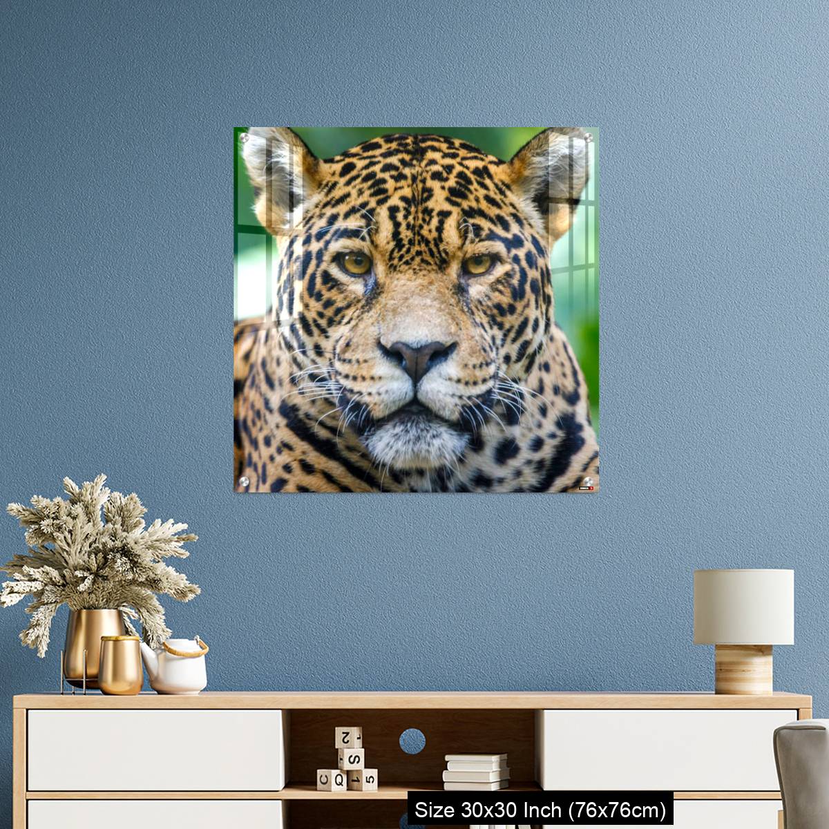 OMGs Acrylic Wall Decor – Jaguar looking at camera - Pantanal wetlands, Brazil - Image 3
