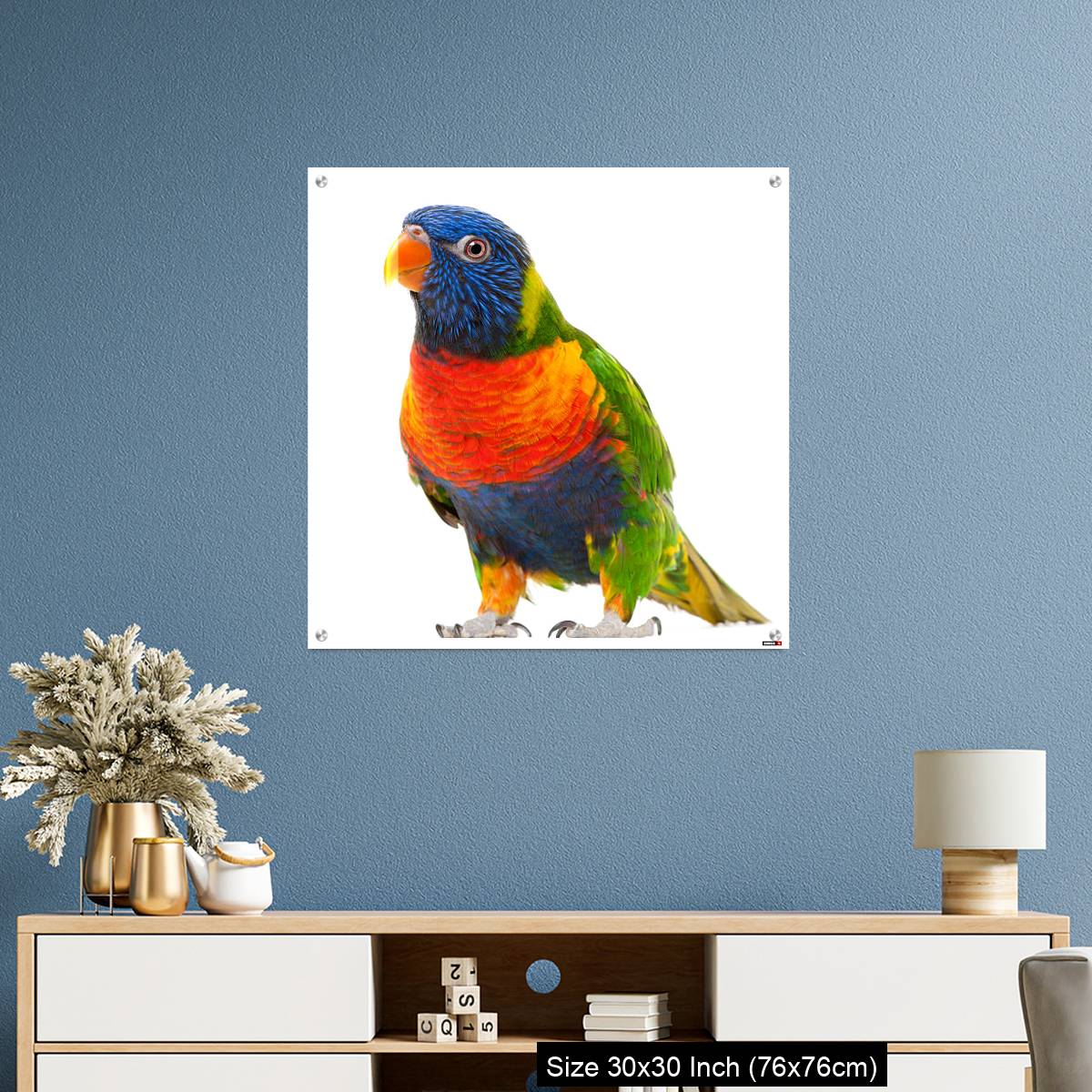 OMGs Acrylic Wall Decor – Rainbow Lorikeet, Trichoglossus haematodus - Image 3