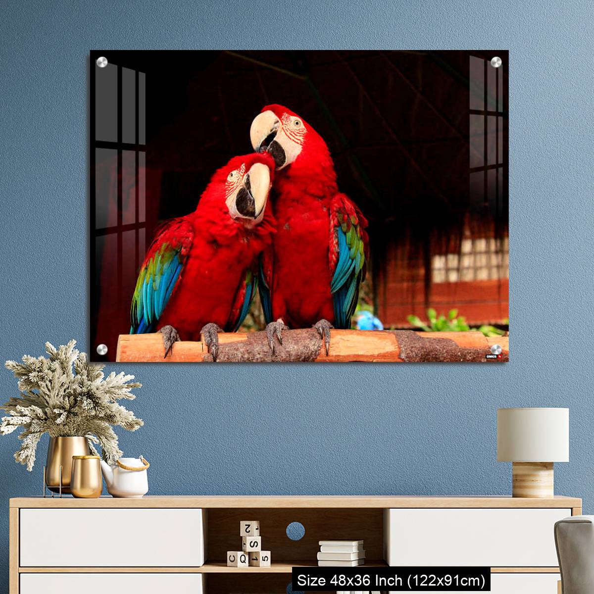 OMGs Acrylic Wall Decor – A  Macaw Bird Teasing His Friend’s Head - Image 3