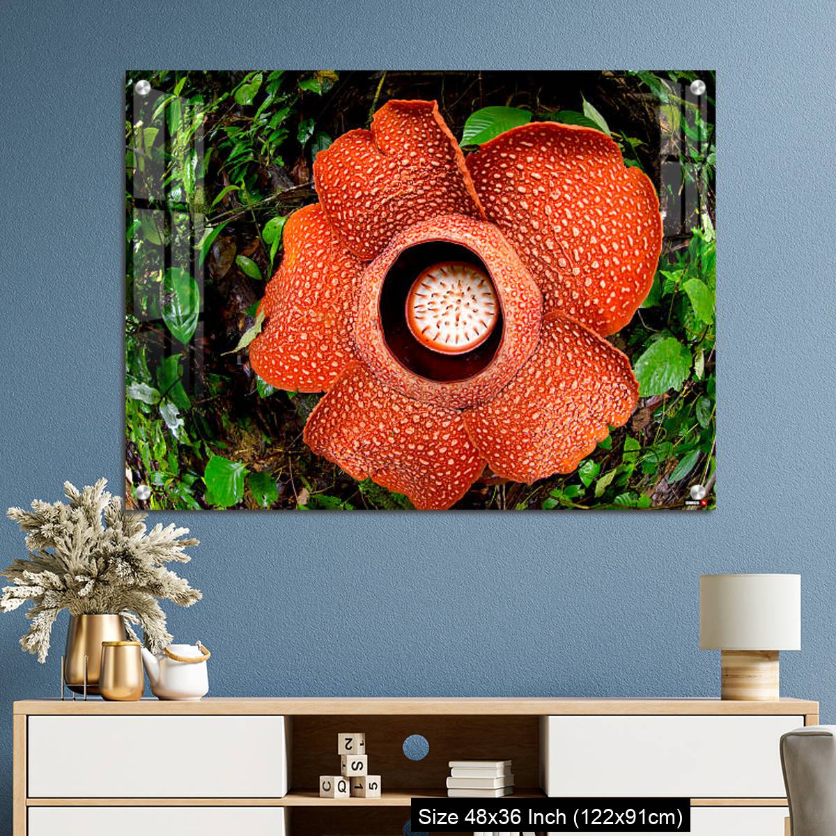 OMGs Acrylic Wall Decor – A beautiful Rafflesia arnoldii bloom in the tropical rainforest of Sumatra - Image 3