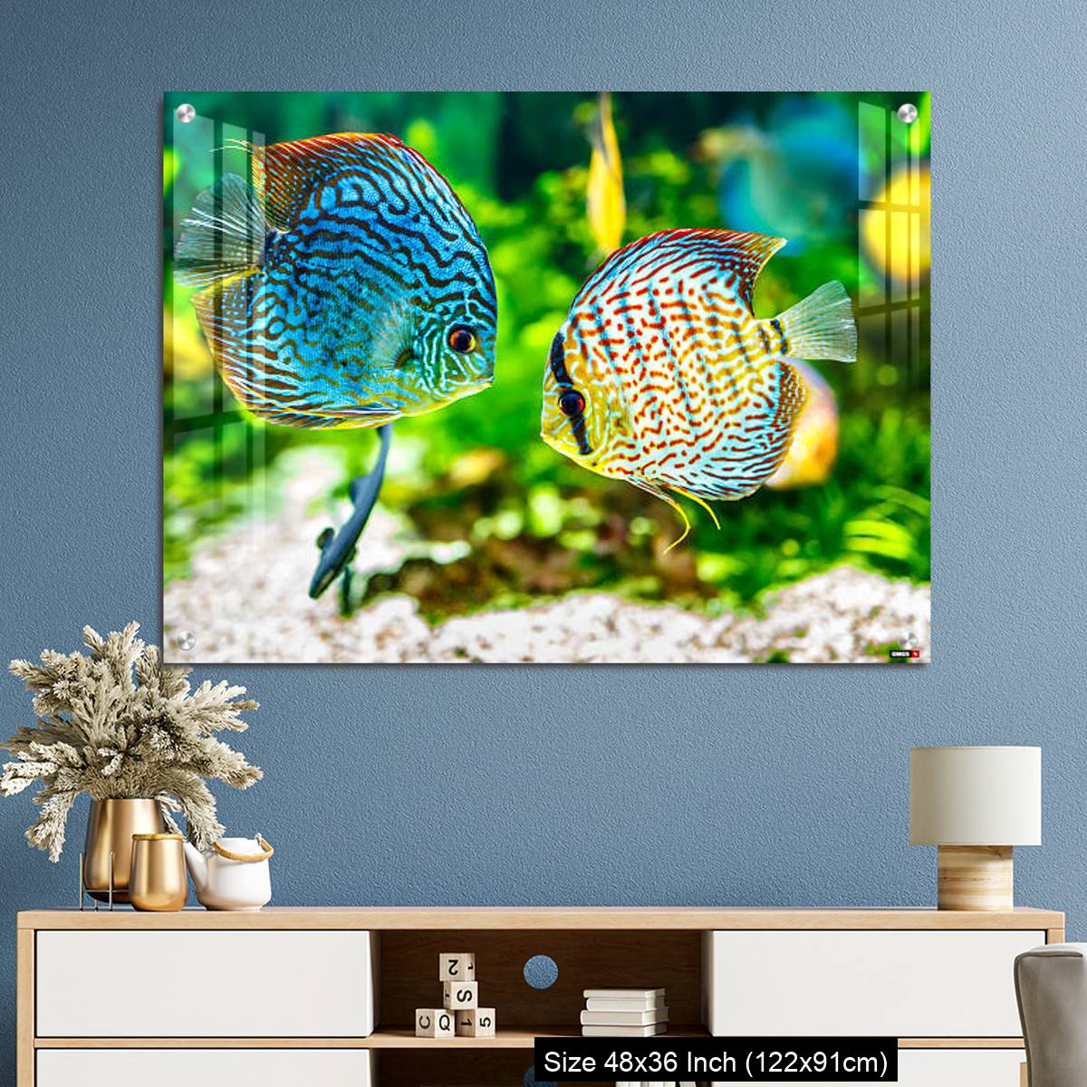 OMGs Acrylic Wall Decor – Aquarium displaying two tropical fish symphsodon discus - Image 3