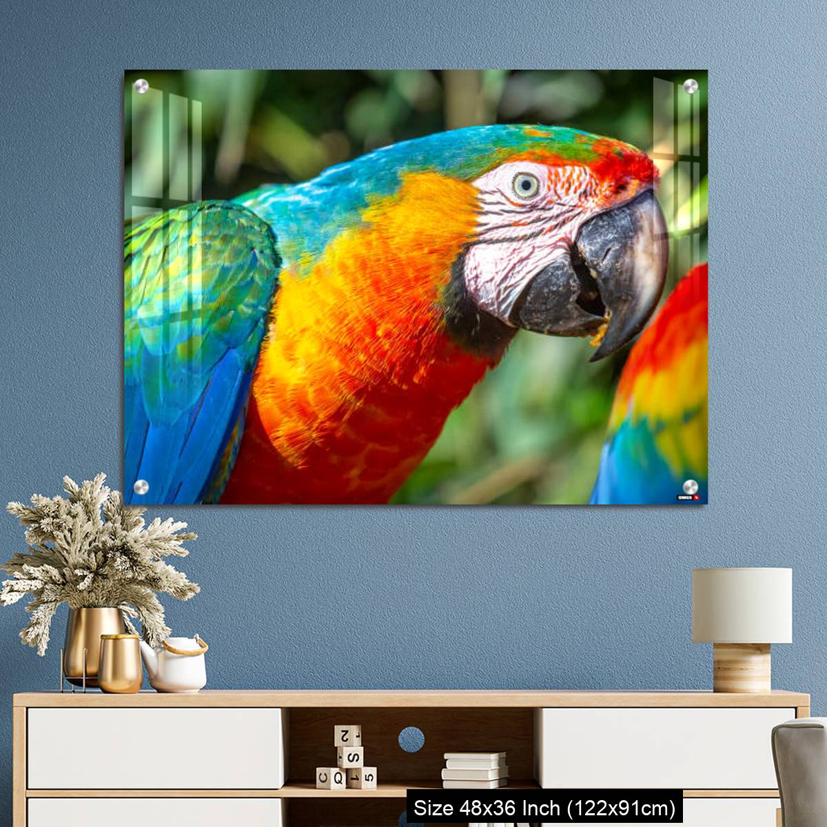 OMGs Acrylic Wall Decor – Colorful Macaw parrot looking at camera in Brazil - Image 3