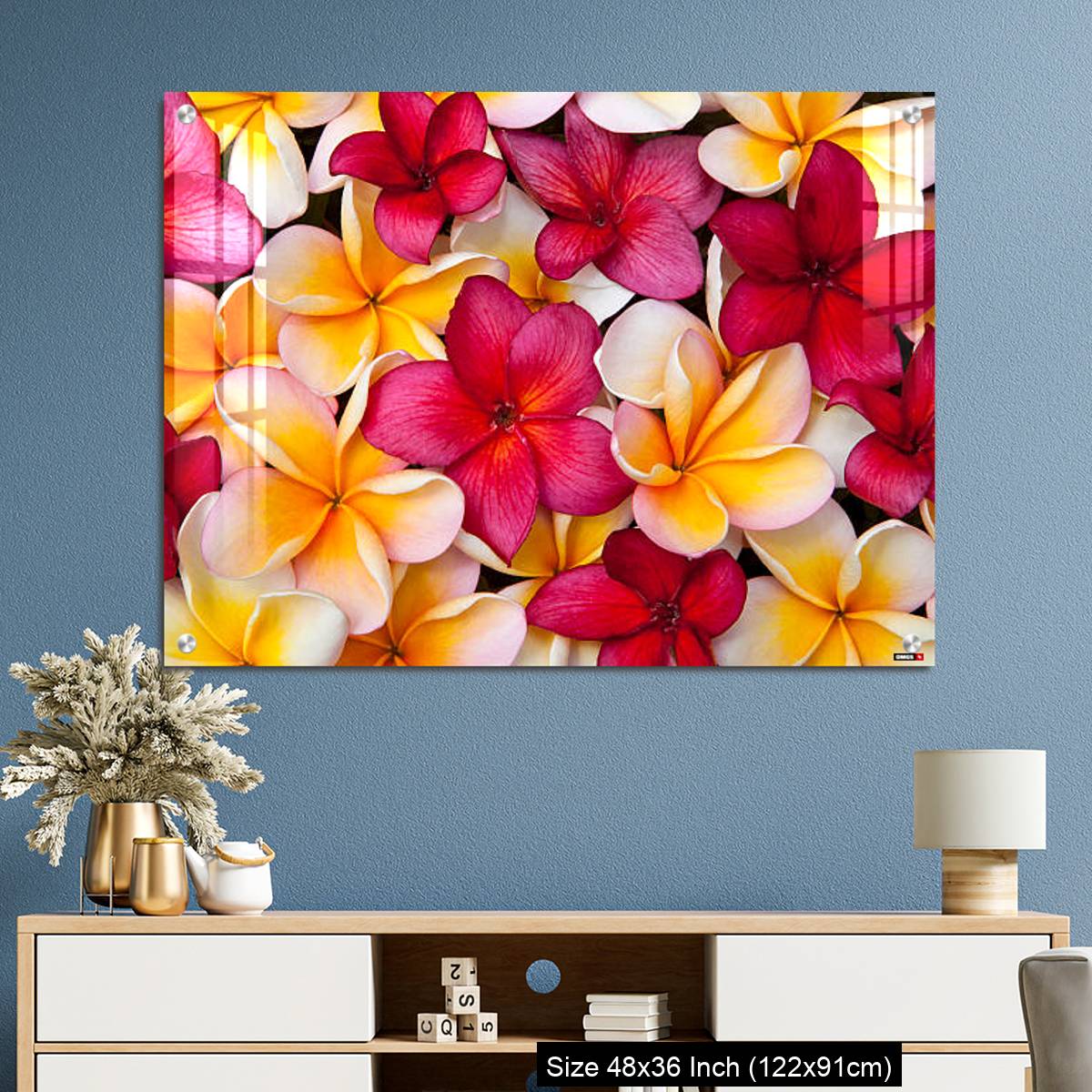 OMGs Acrylic Wall Decor – Colorful Pulmeria (or Frangipani) flowers - Image 3