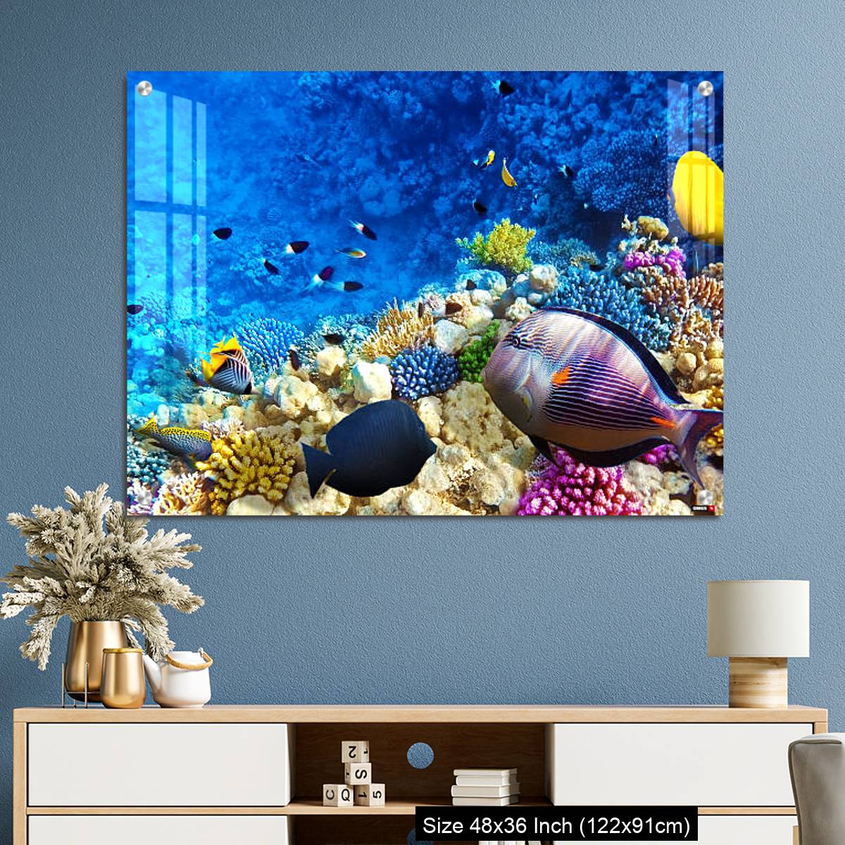 OMGs Acrylic Wall Decor – Coral and fish in the Red Sea. Egypt, Africa. - Image 3