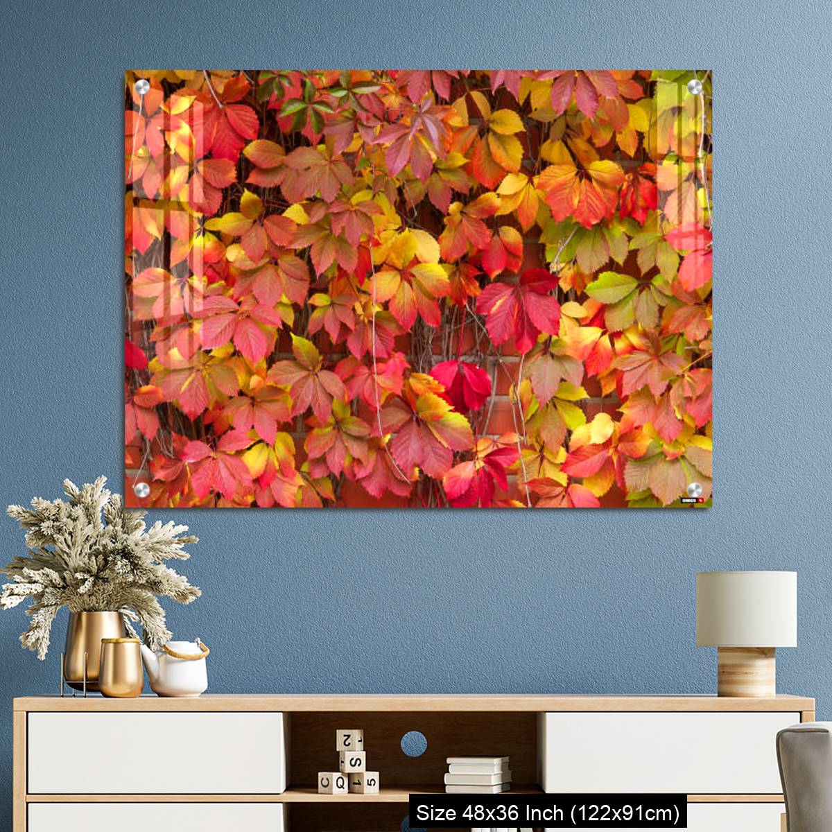 OMGs Acrylic Wall Decor – False Virginia creeper Parthenocissus inserta foliage in autumn colors - Image 3