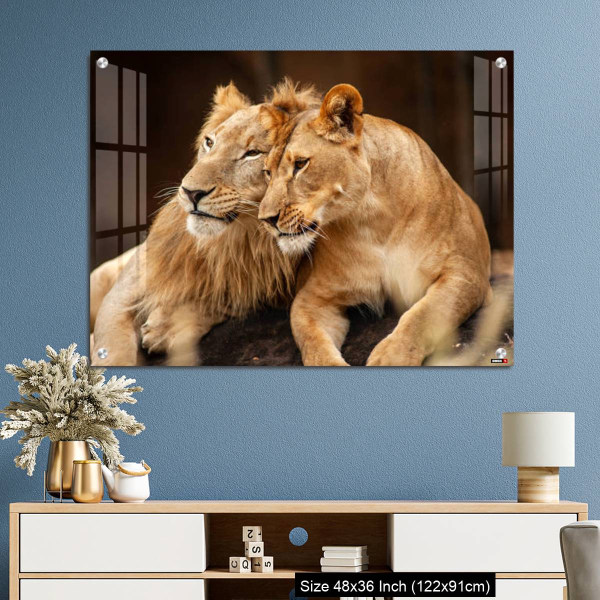 OMGs Acrylic Wall Decor – Male and Female Lions  lying down together on the ground - Image 3