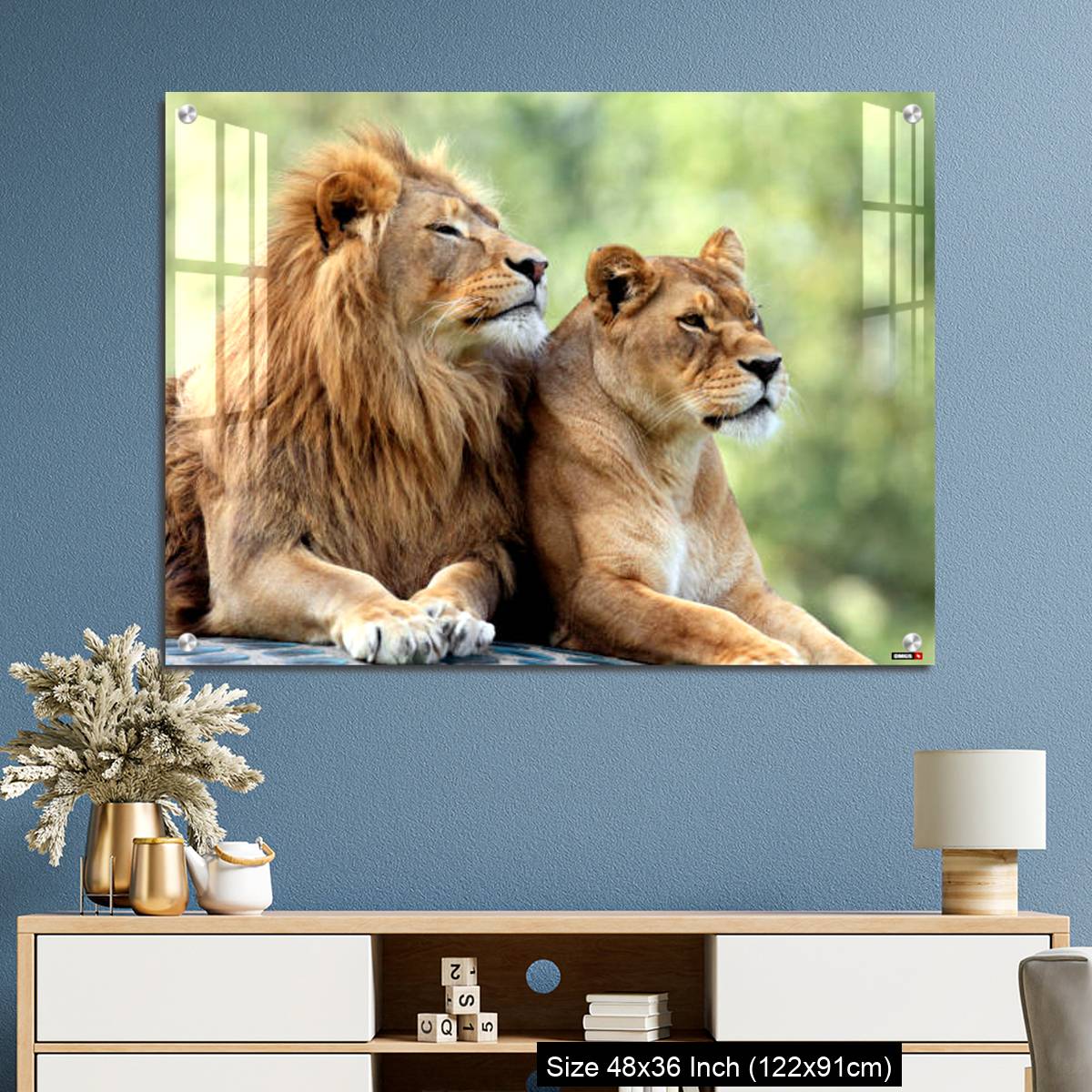 OMGs Acrylic Wall Decor – Pair of adult Lions in zoological garden - Image 3