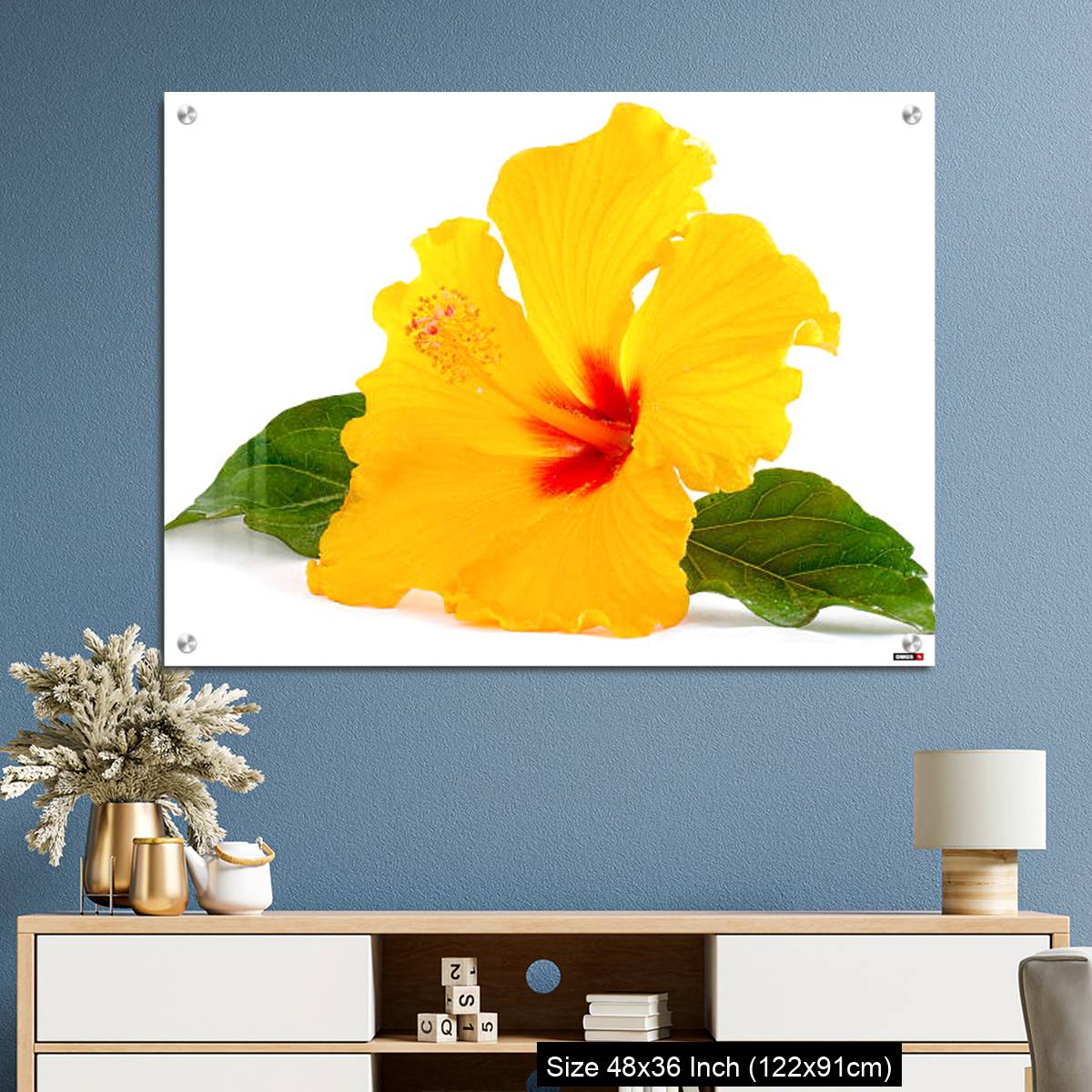 OMGs Acrylic Wall Decor – Tropical Yellow Hibiscus Flower isolated on white - Image 3