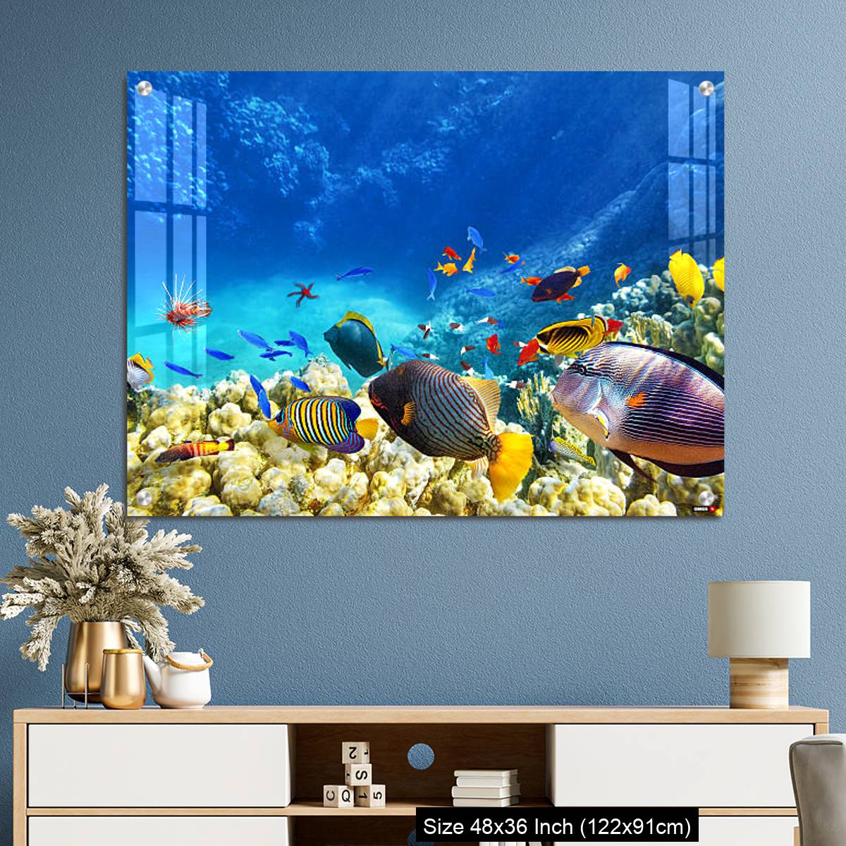 OMGs Acrylic Wall Decor – Underwater world with corals and tropical fish. - Image 3