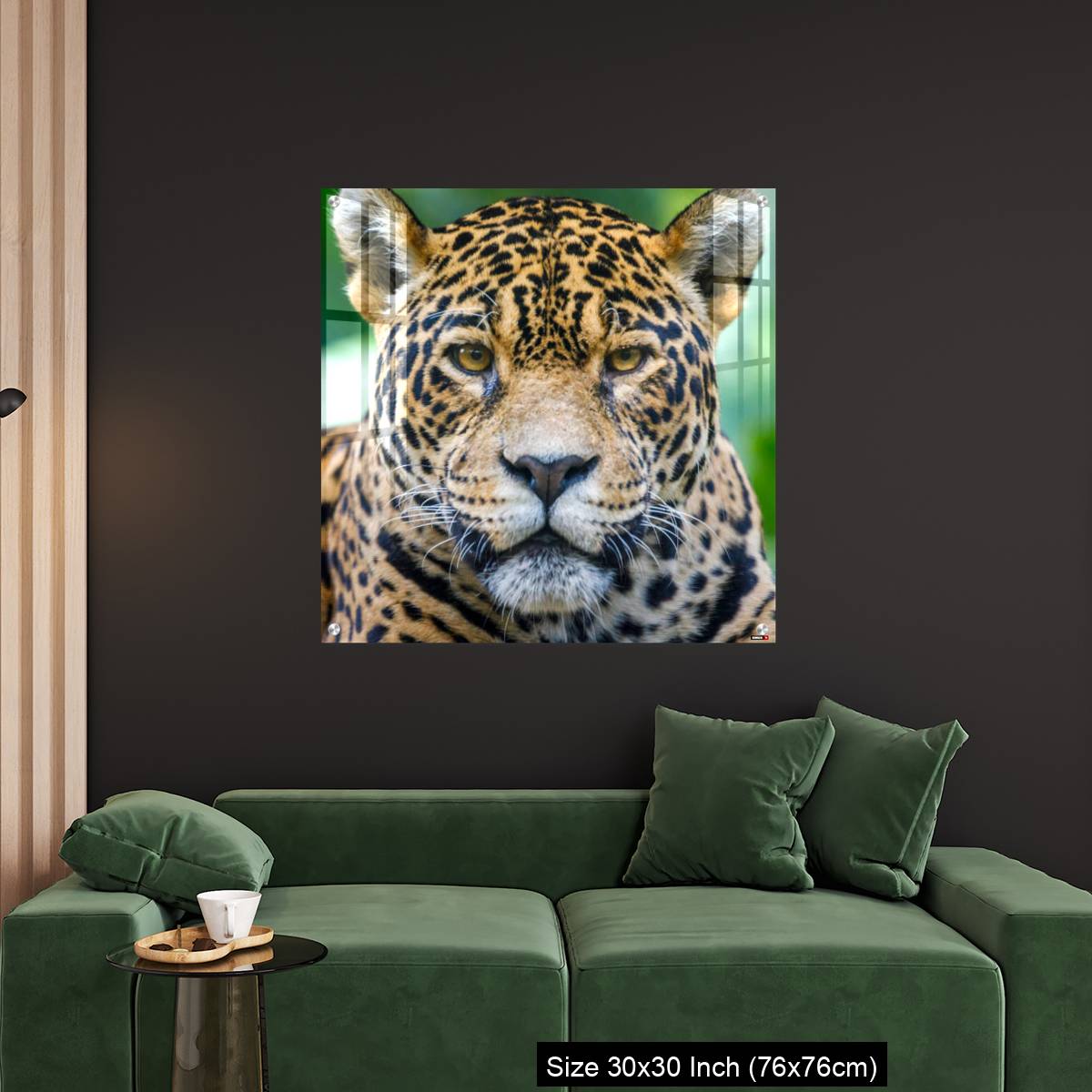 OMGs Acrylic Wall Decor – Jaguar looking at camera - Pantanal wetlands, Brazil - Image 4