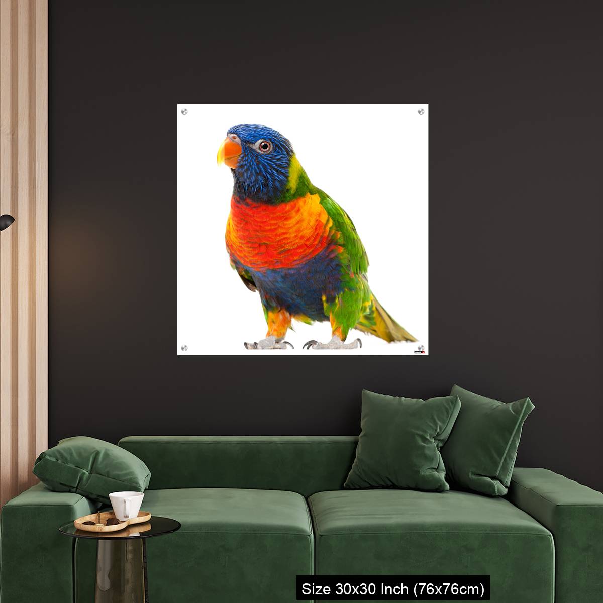 OMGs Acrylic Wall Decor – Rainbow Lorikeet, Trichoglossus haematodus - Image 4
