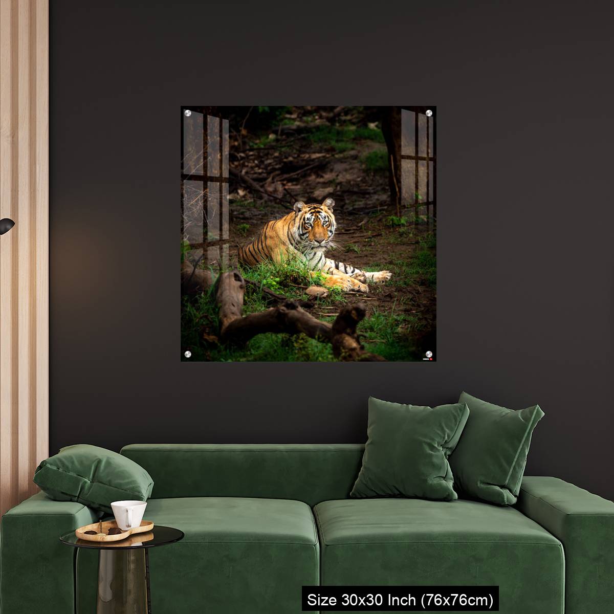 OMGs Acrylic Wall Decor – wild bengal male tiger - Image 4
