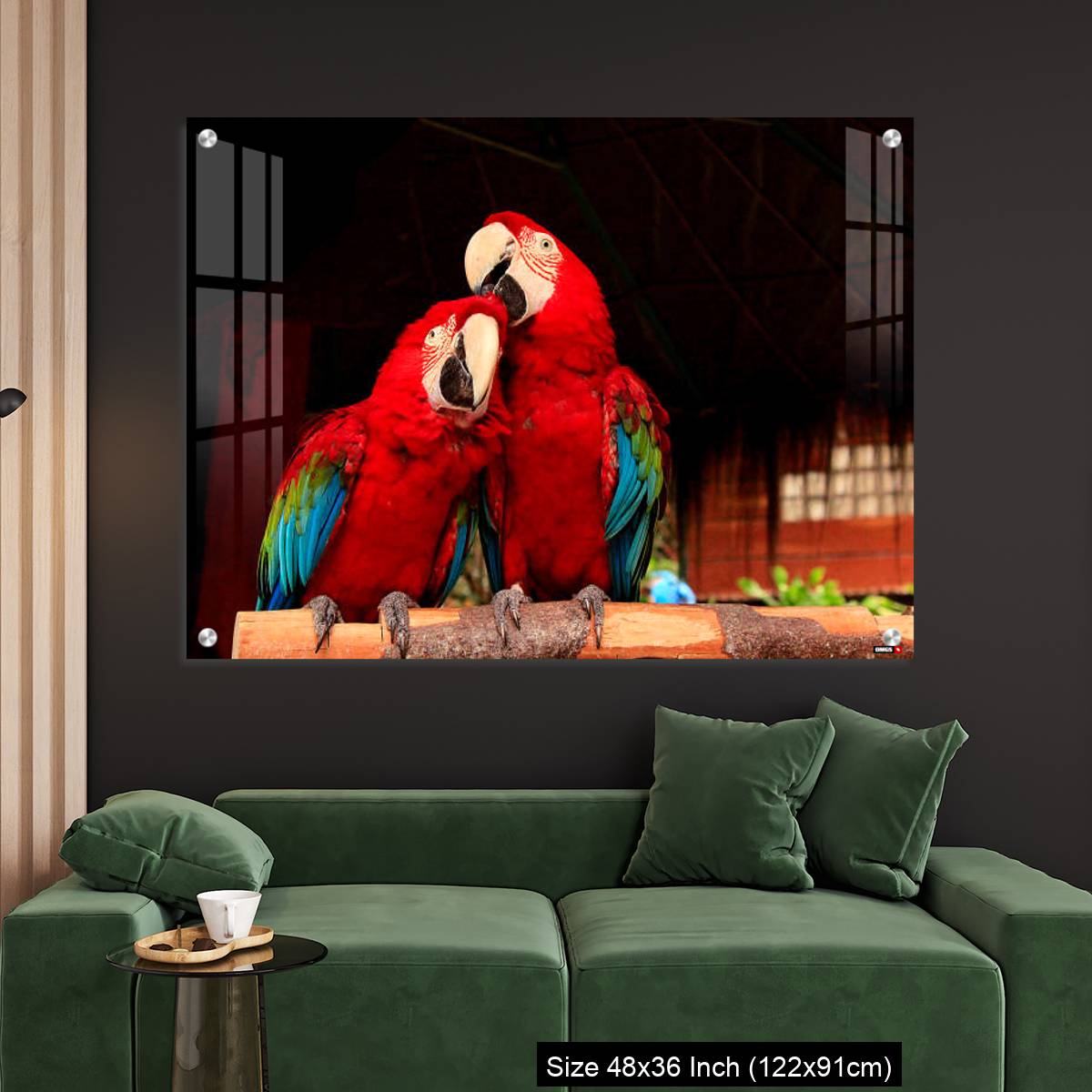 OMGs Acrylic Wall Decor – A  Macaw Bird Teasing His Friend’s Head - Image 4