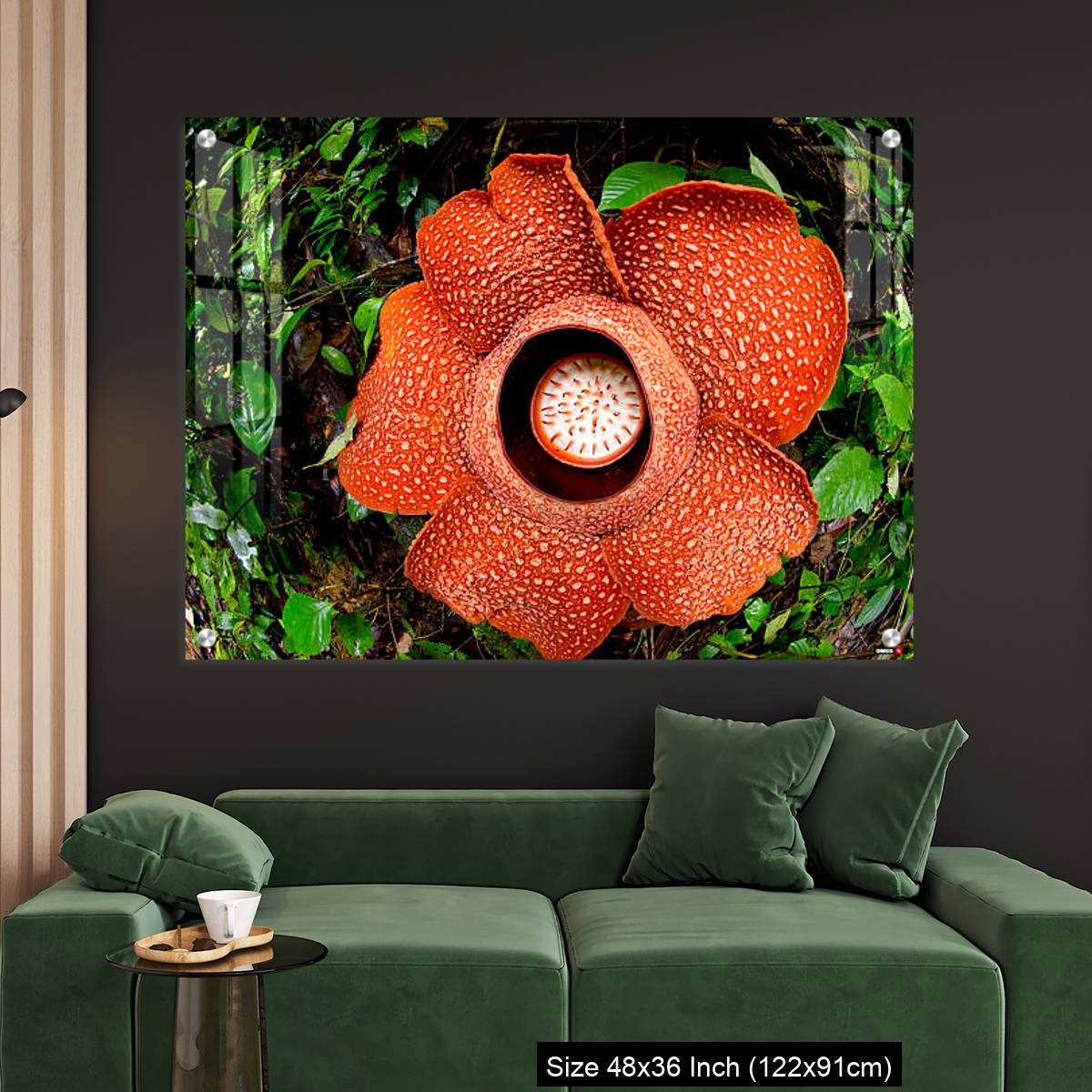 OMGs Acrylic Wall Decor – A beautiful Rafflesia arnoldii bloom in the tropical rainforest of Sumatra - Image 4