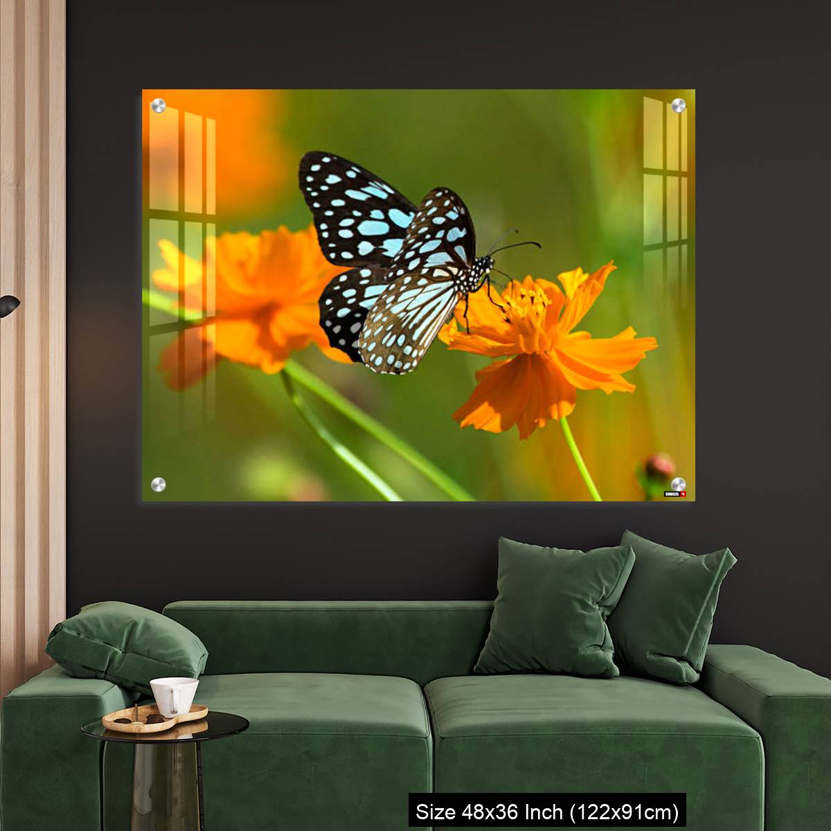 OMGs Acrylic Wall Decor – Blue tiger butterfly or Tirumala limniace on an orange flower - Image 4