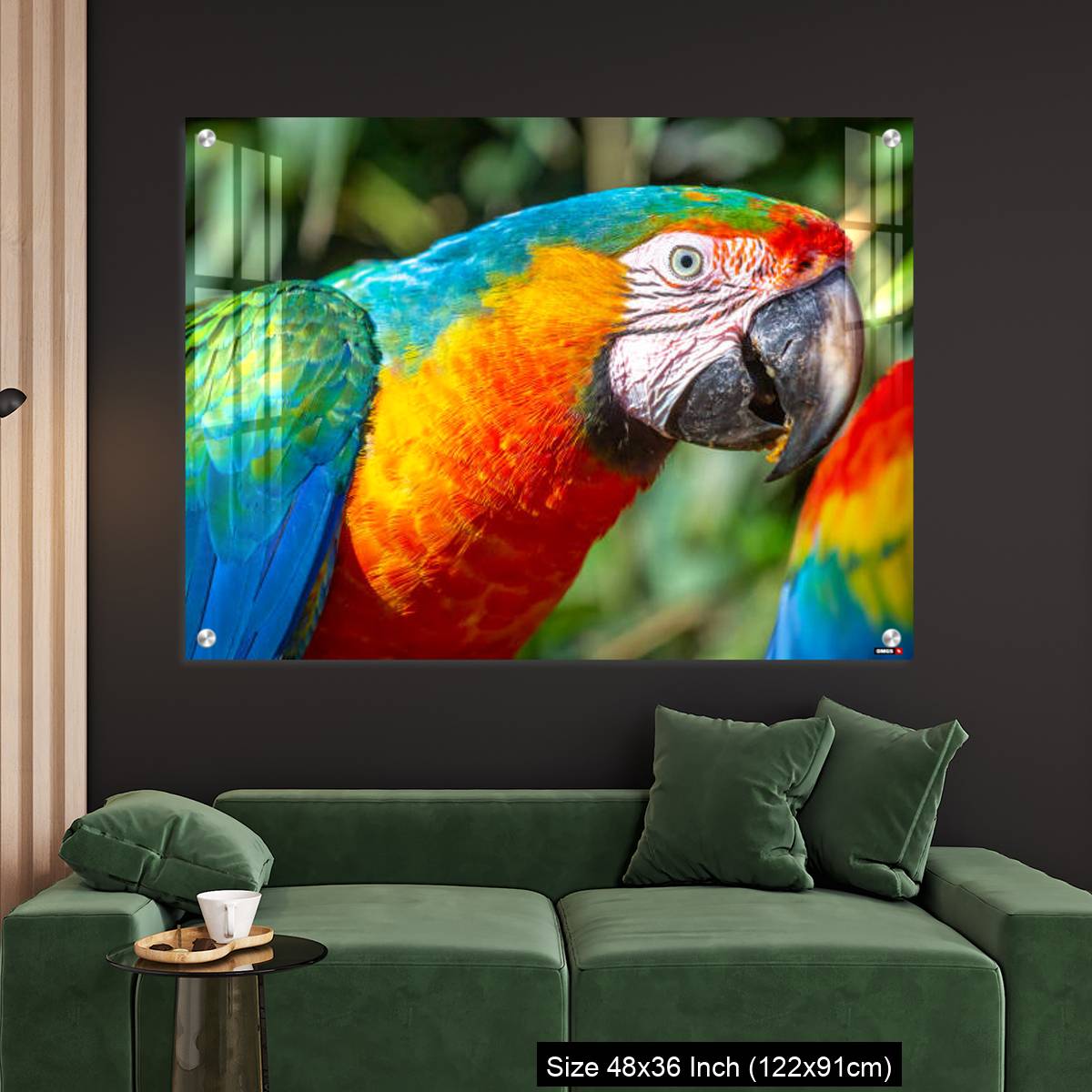 OMGs Acrylic Wall Decor – Colorful Macaw parrot looking at camera in Brazil - Image 4