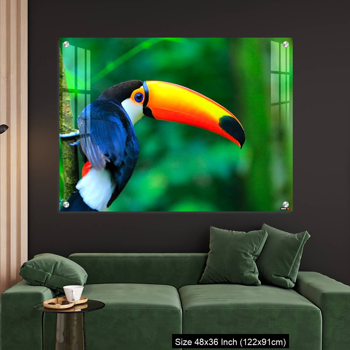 OMGs Acrylic Wall Decor – Colorful cute Toucan tropical bird - Image 4