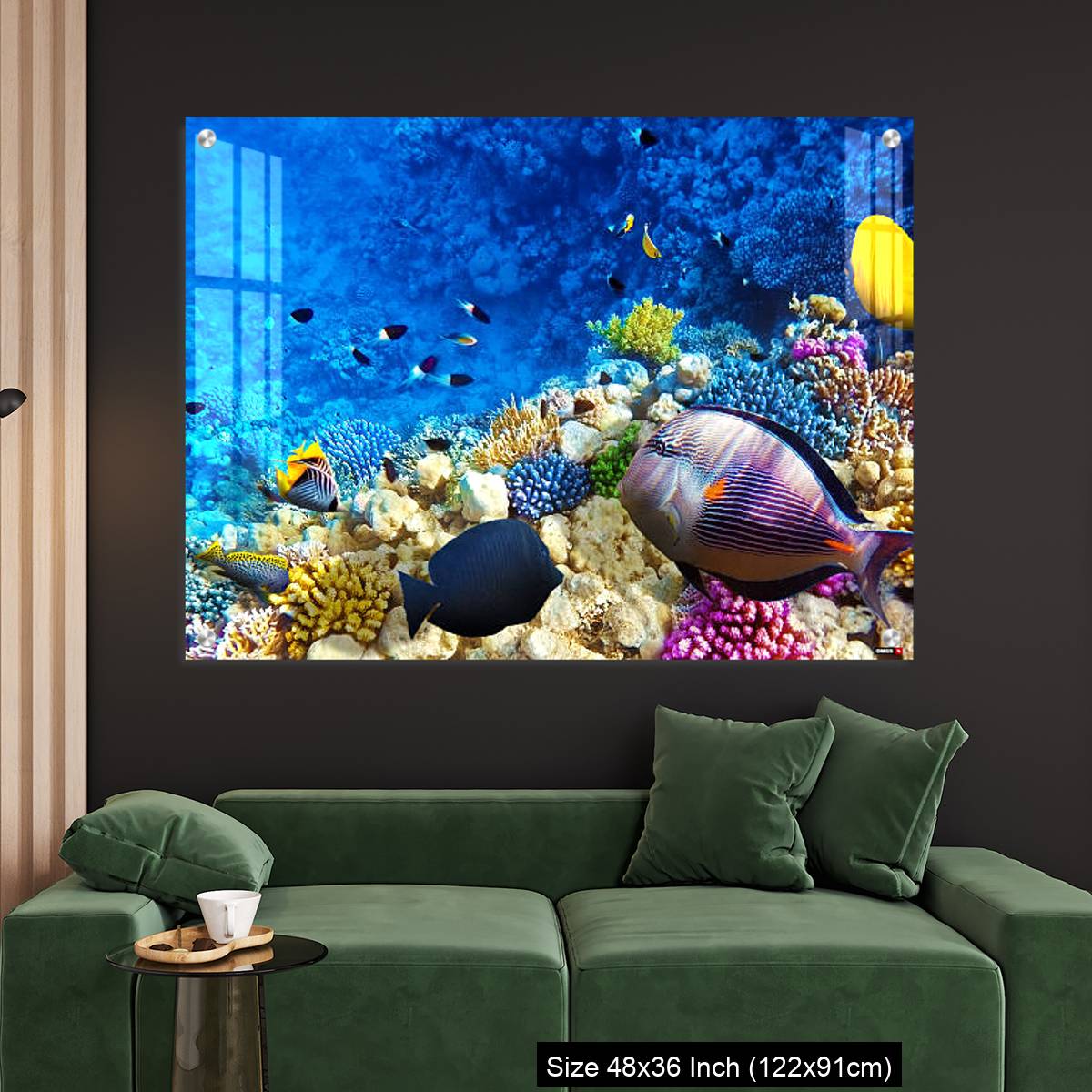 OMGs Acrylic Wall Decor – Coral and fish in the Red Sea. Egypt, Africa. - Image 4