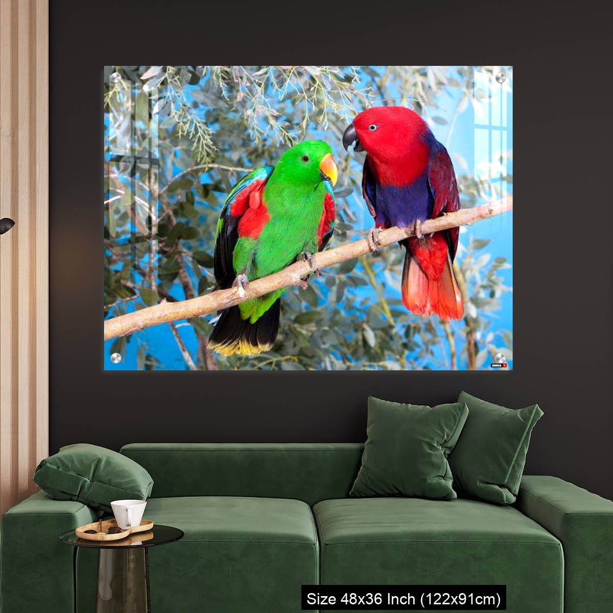 OMGs Acrylic Wall Decor – Eclectus Parrot, eclectus roratus, Pair standing on Branch, Male (green) and Female (Red) - Image 4