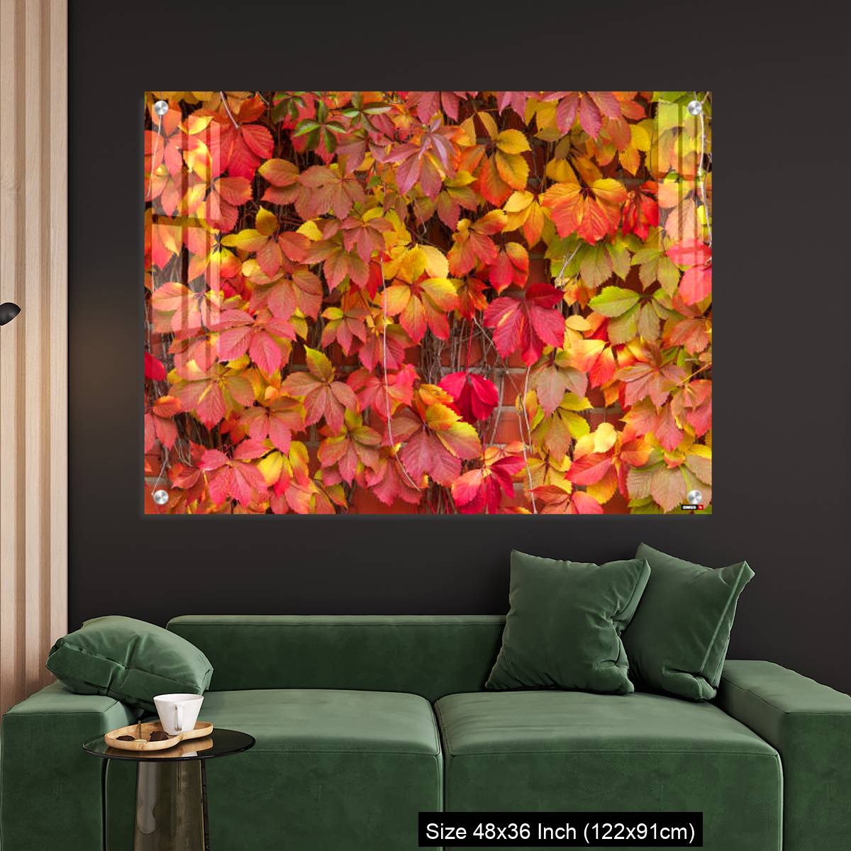 OMGs Acrylic Wall Decor – False Virginia creeper Parthenocissus inserta foliage in autumn colors - Image 4