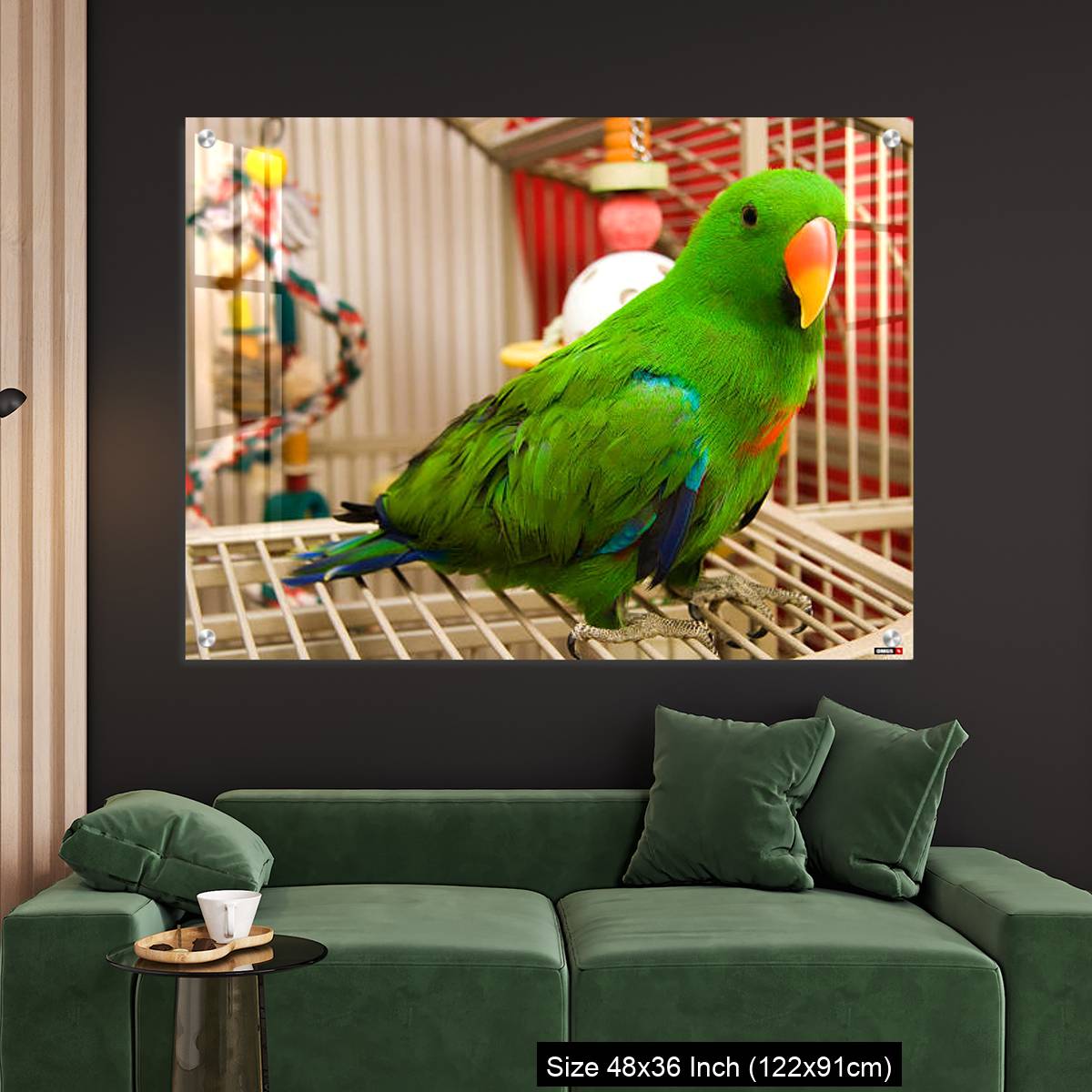 OMGs Acrylic Wall Decor – Green parrot perched on the open door of its cage - Image 4