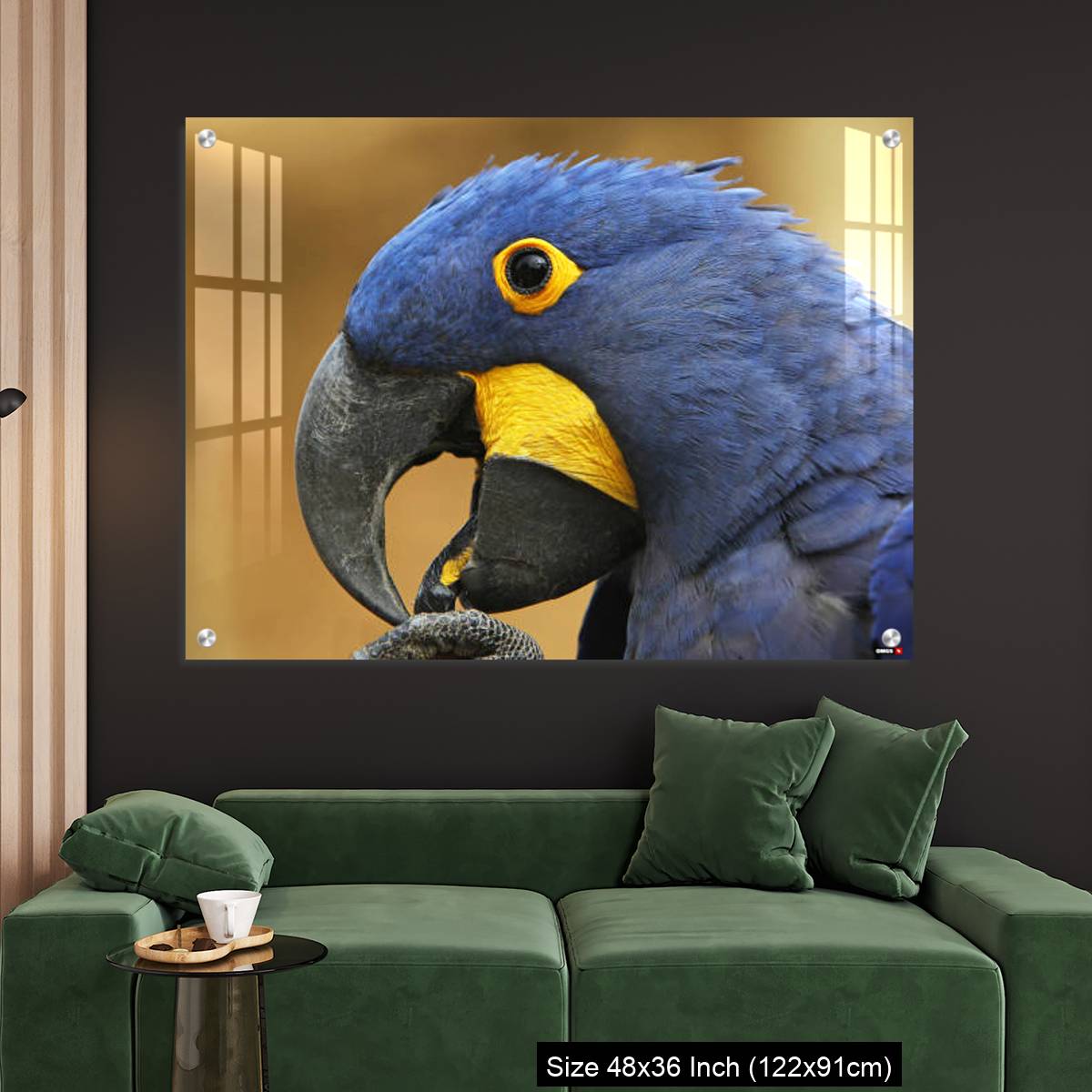 OMGs Acrylic Wall Decor – Hyacinth Macaw, anodorhynchus hyacinthinus, portrait of Adult with open Beak - Image 4