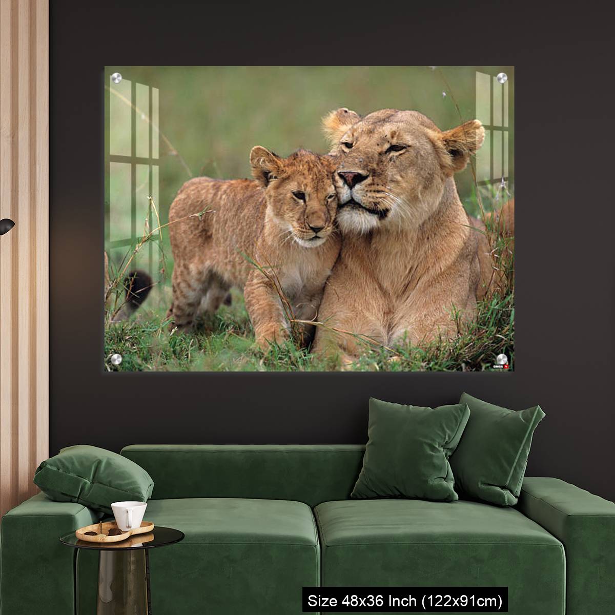 OMGs Acrylic Wall Decor – Lioness (Panthera leo) with cubs lying on grass, Kenya - Image 4