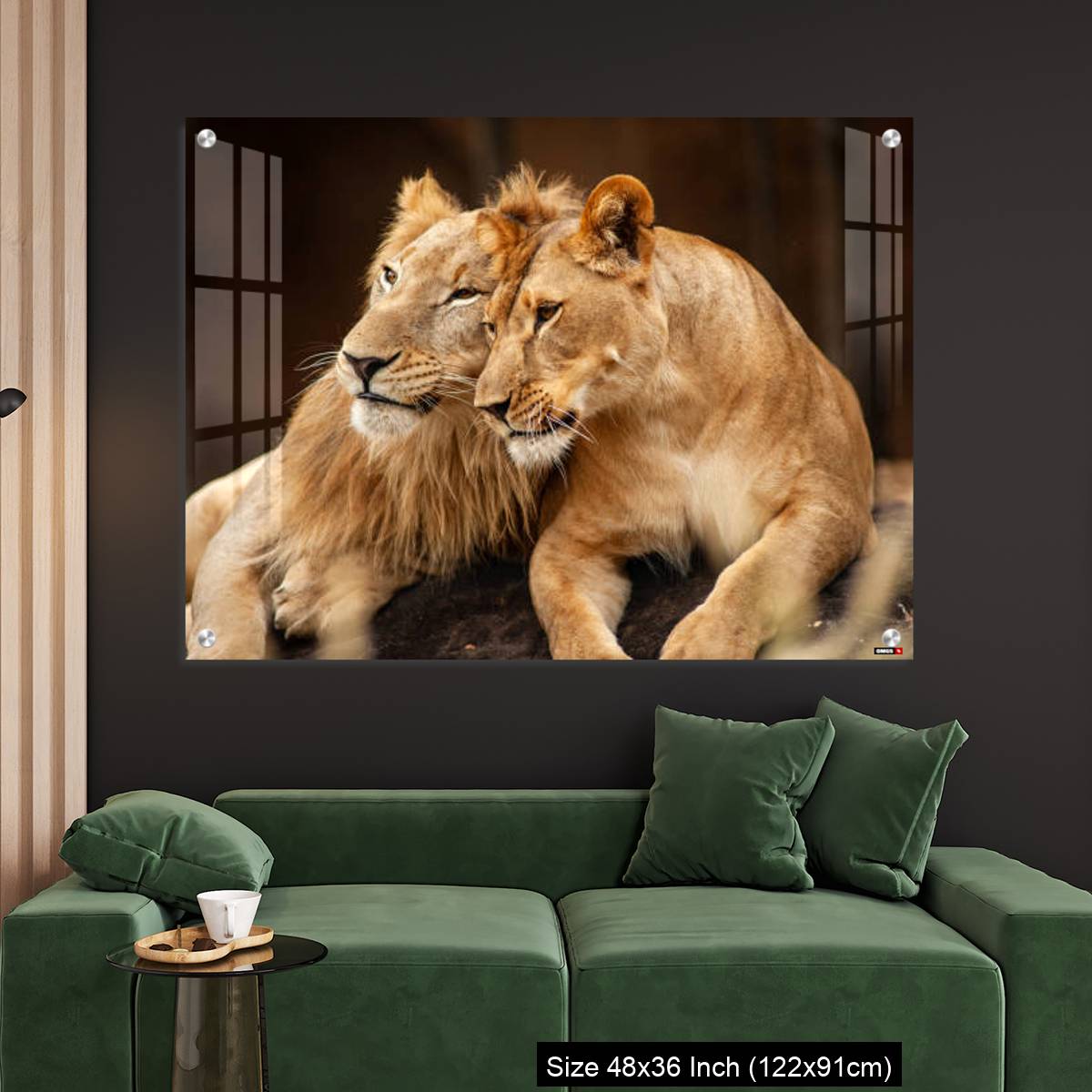 OMGs Acrylic Wall Decor – Male and Female Lions  lying down together on the ground - Image 4