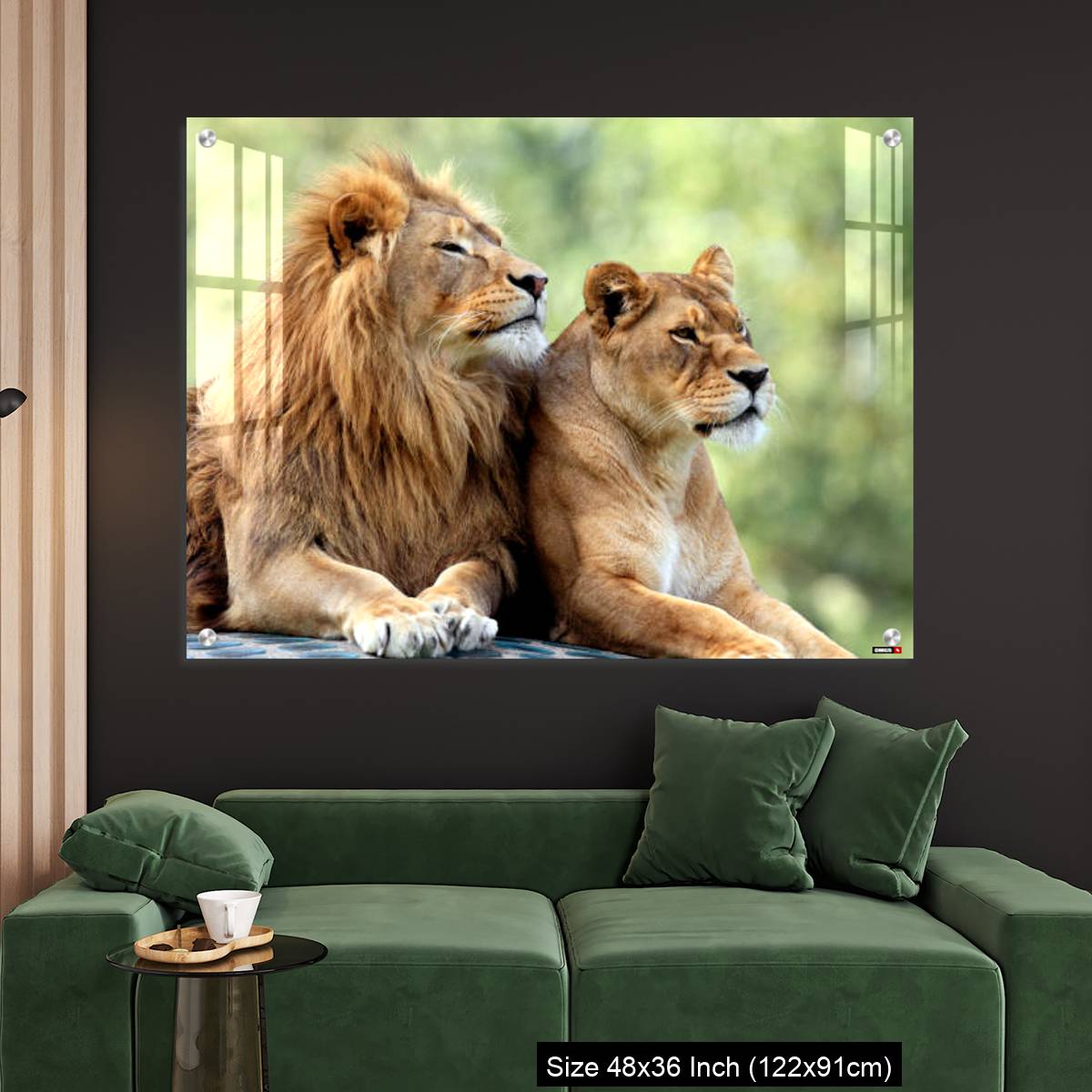 OMGs Acrylic Wall Decor – Pair of adult Lions in zoological garden - Image 4