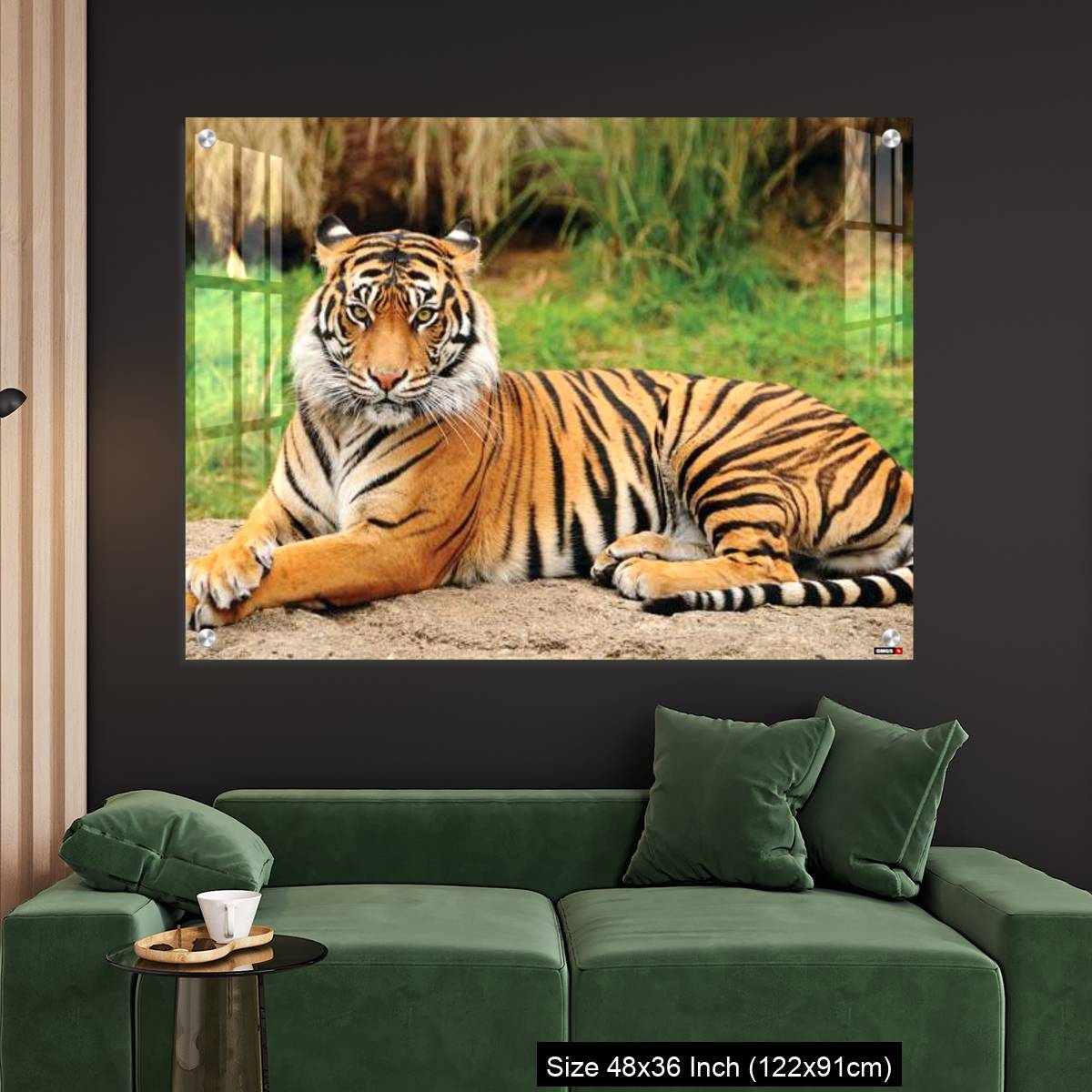 OMGs Acrylic Wall Decor – Royal Bengal Tiger alert and Staring at the Camera - Image 4