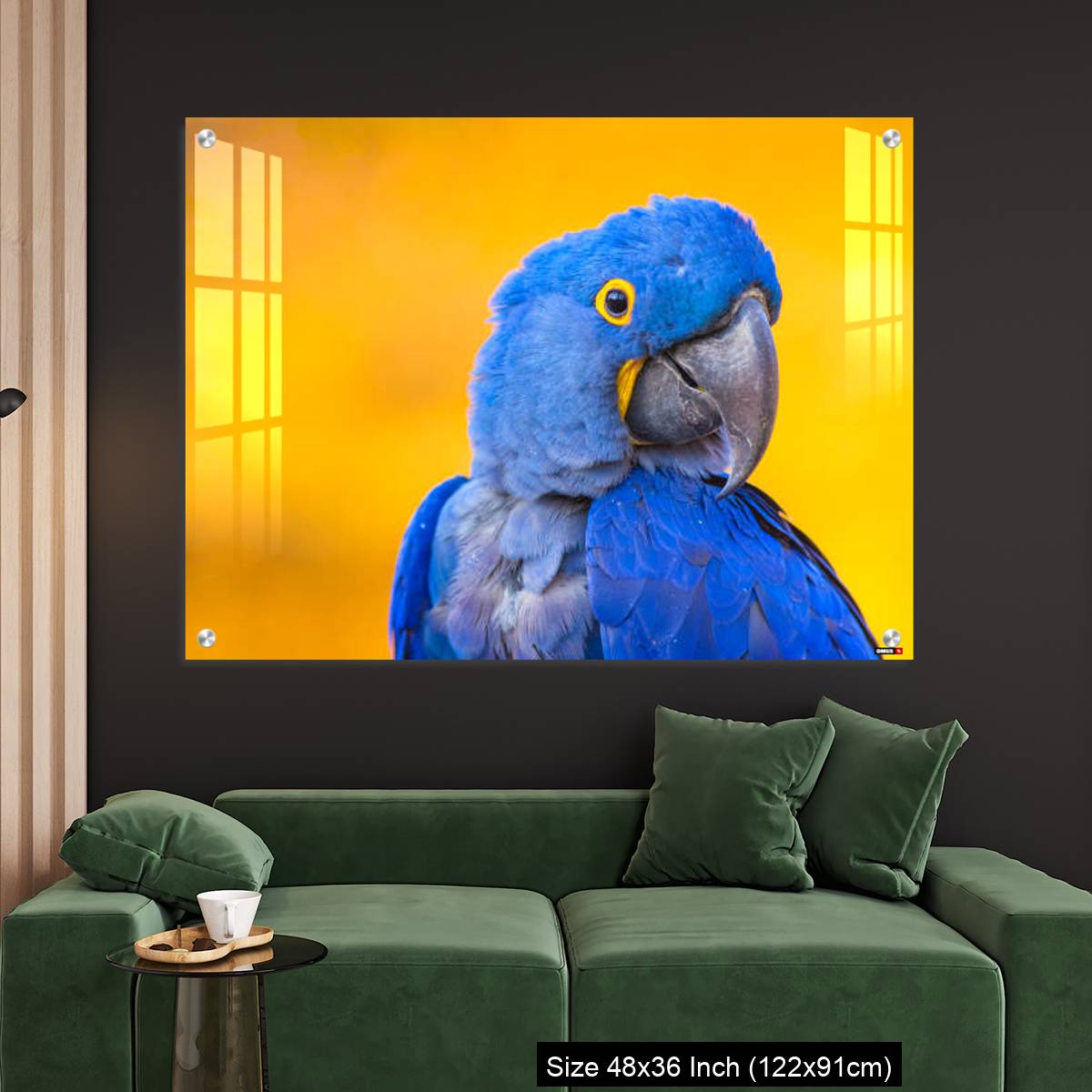 OMGs Acrylic Wall Decor – Portrait of big blue parrot Hyacinth Macaw - Image 4