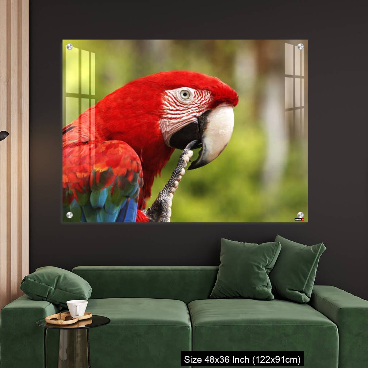 OMGs Acrylic Wall Decor – Red-and-Green Macaw, ara chloroptera, Portrait of Adult - Image 4
