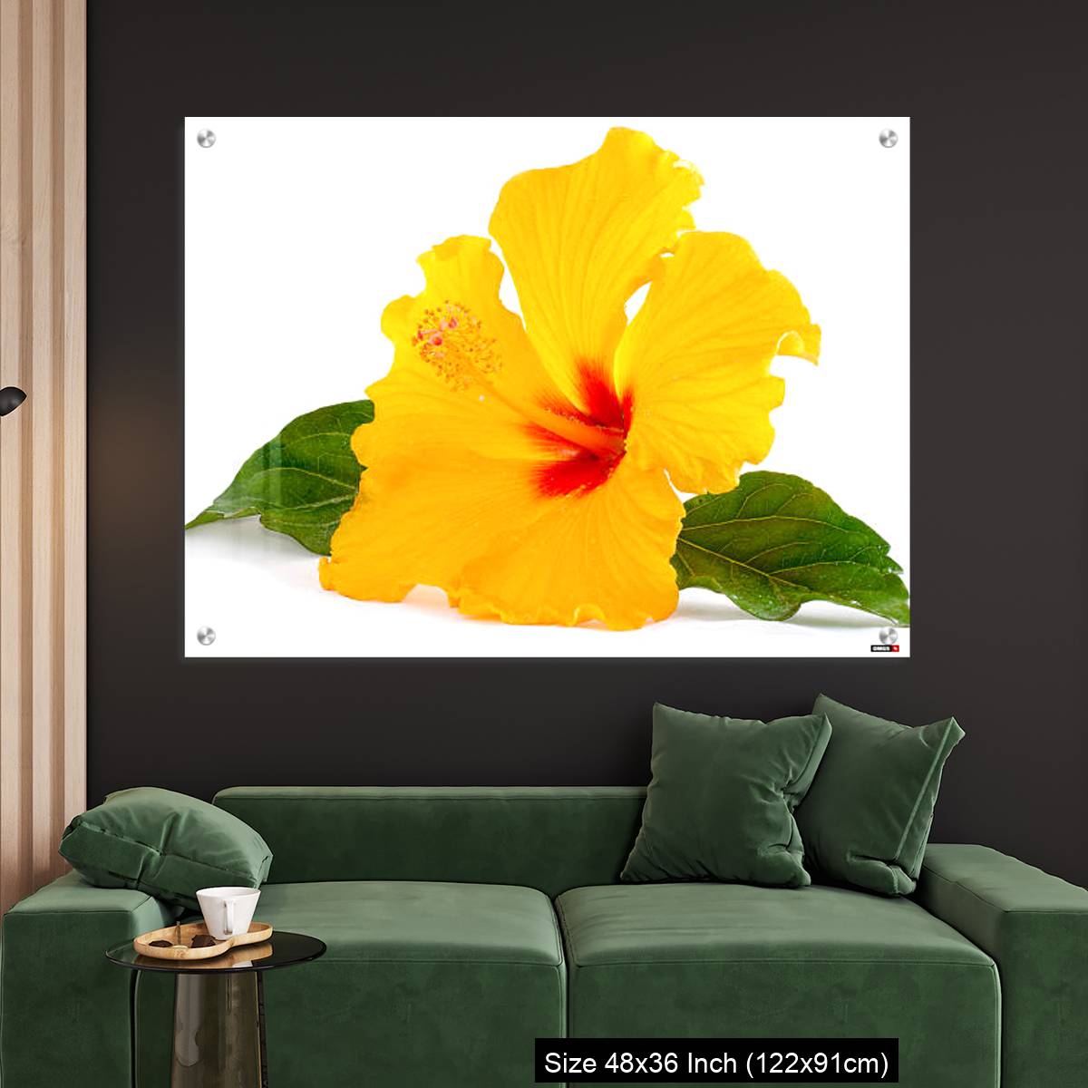 OMGs Acrylic Wall Decor – Tropical Yellow Hibiscus Flower isolated on white - Image 4